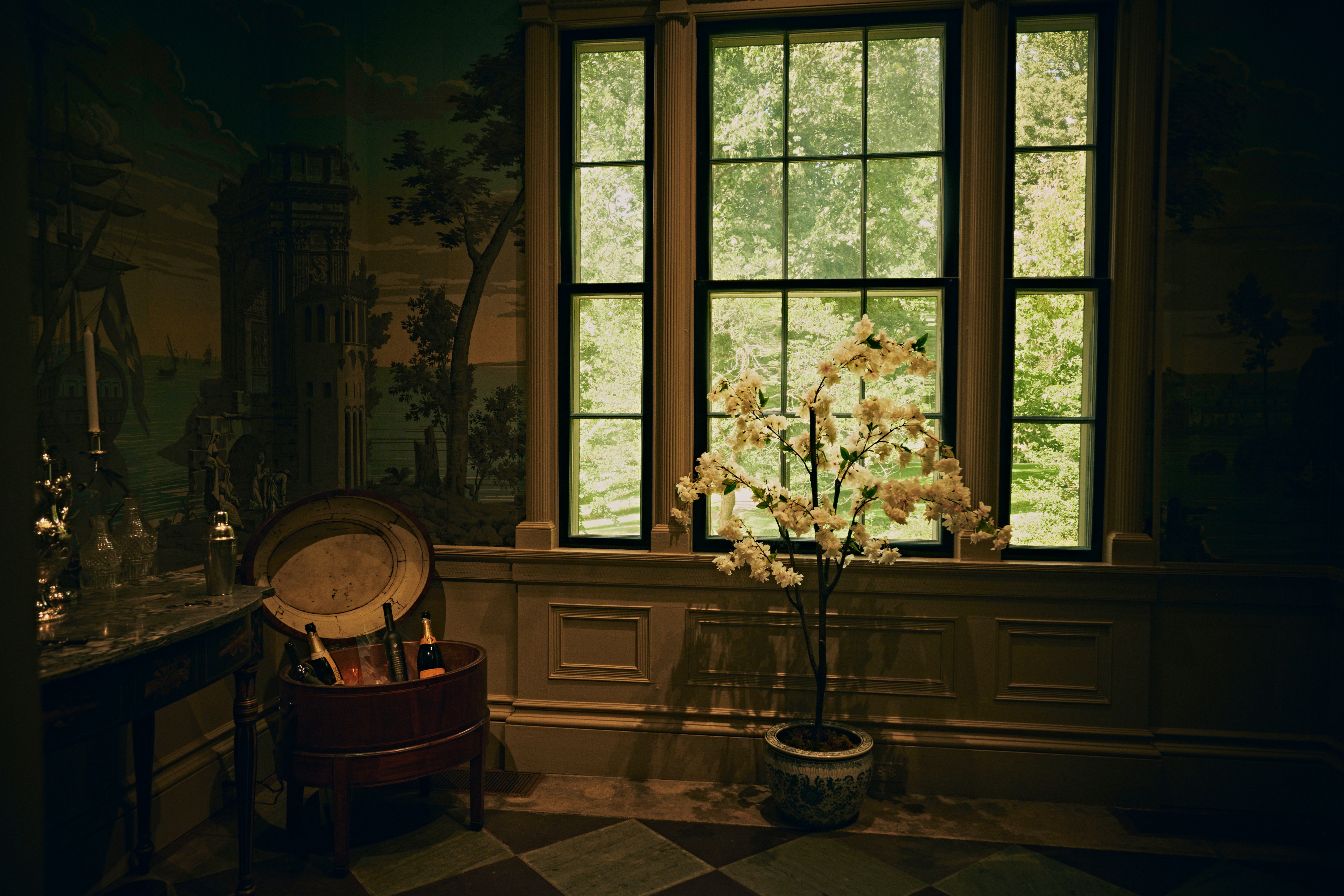 A flowering tree in a pot beside a window with a garden view