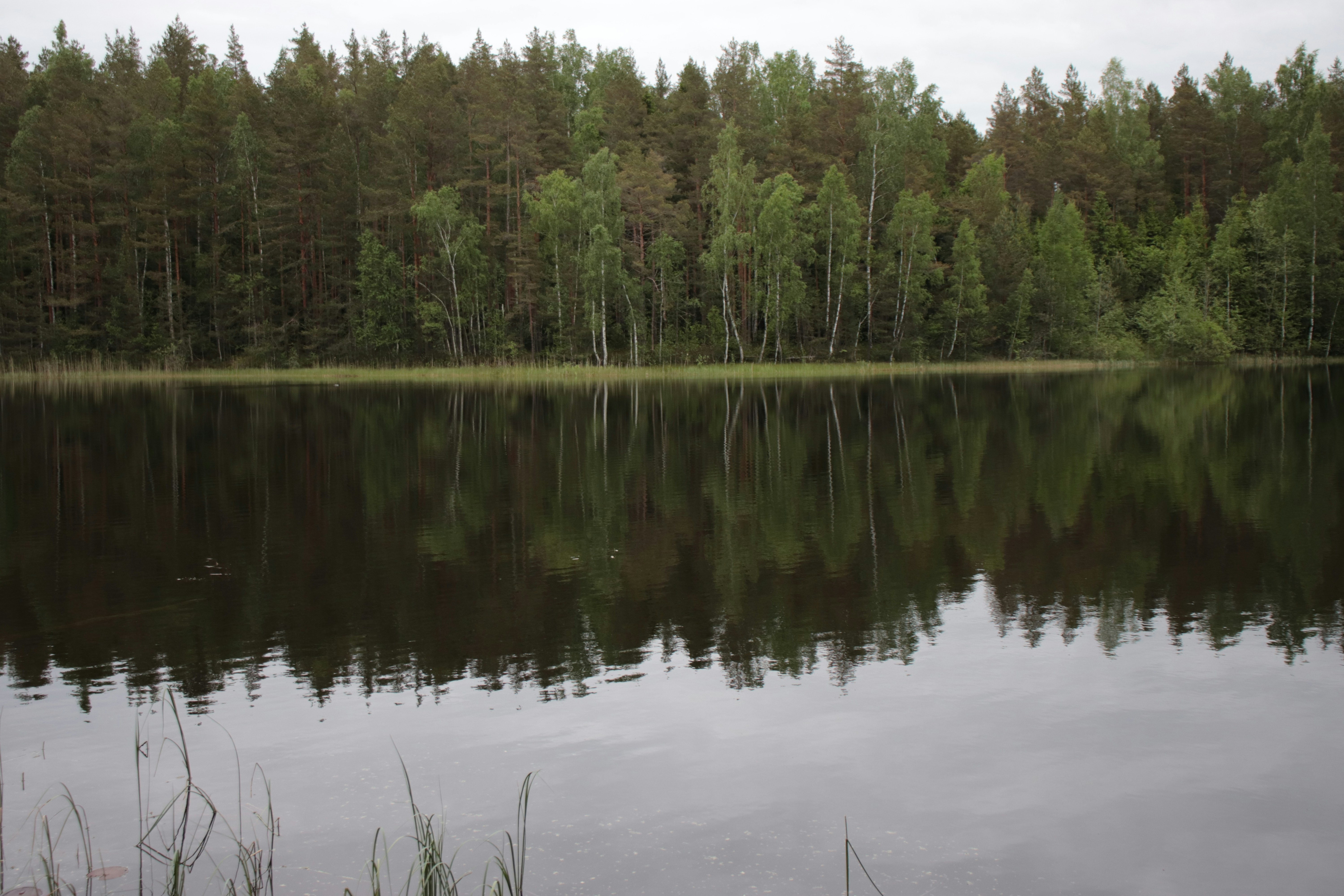 Lac de Pareloup — Salles-Curan