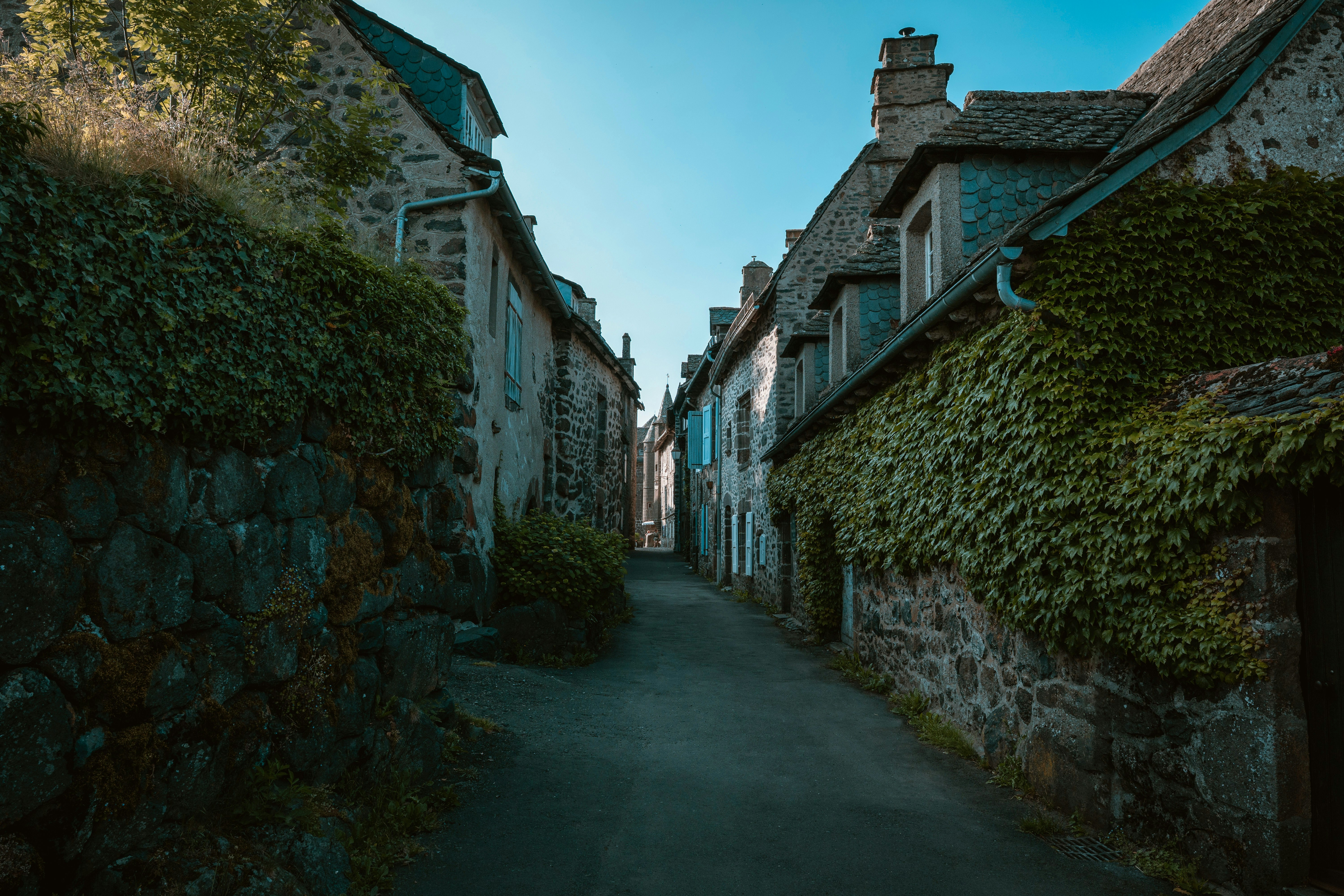 A narrow stone street lined with ivy-covered buildings under a clear blue sky