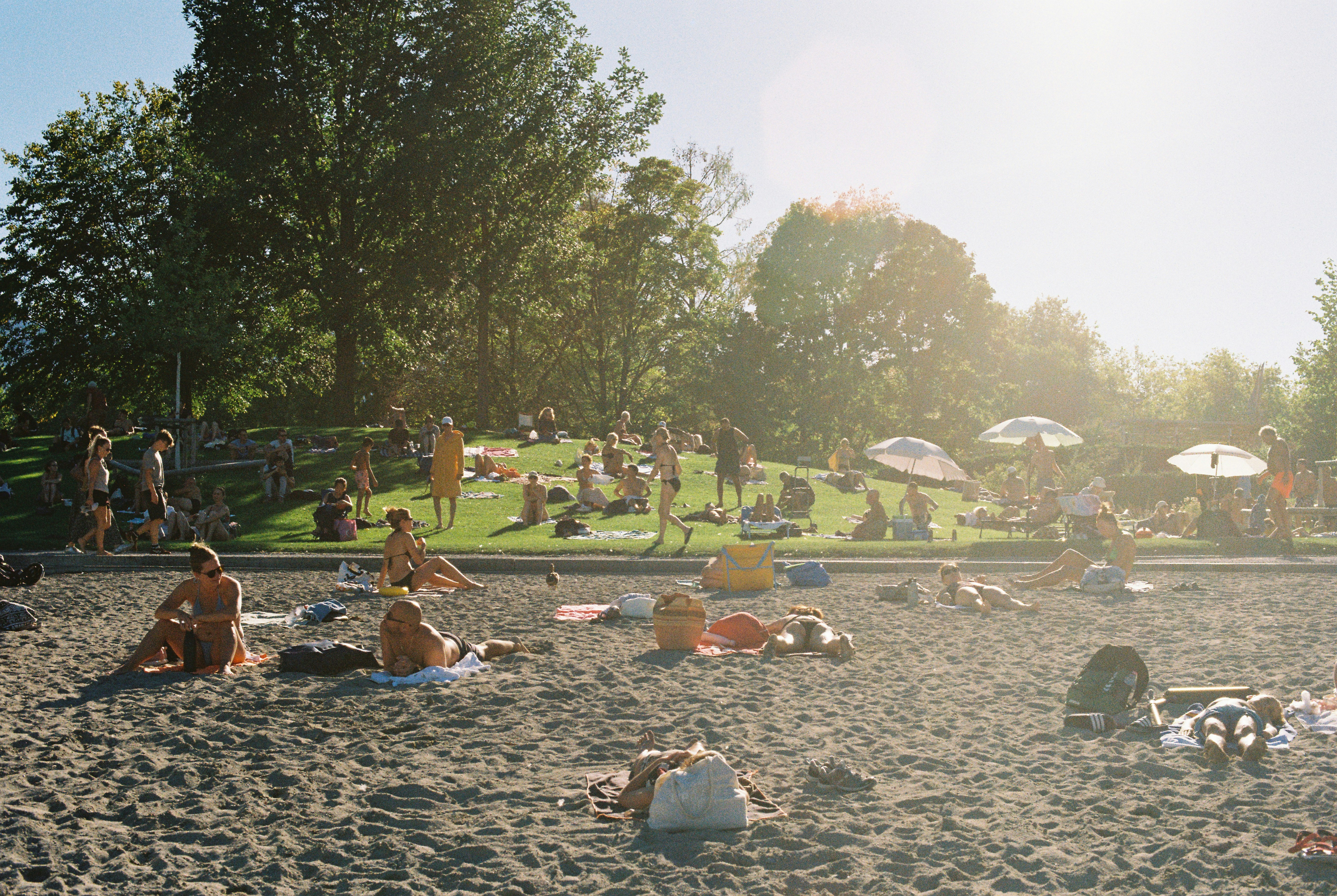 People relaxing on a sandy beach and grassy hill under bright sunlight