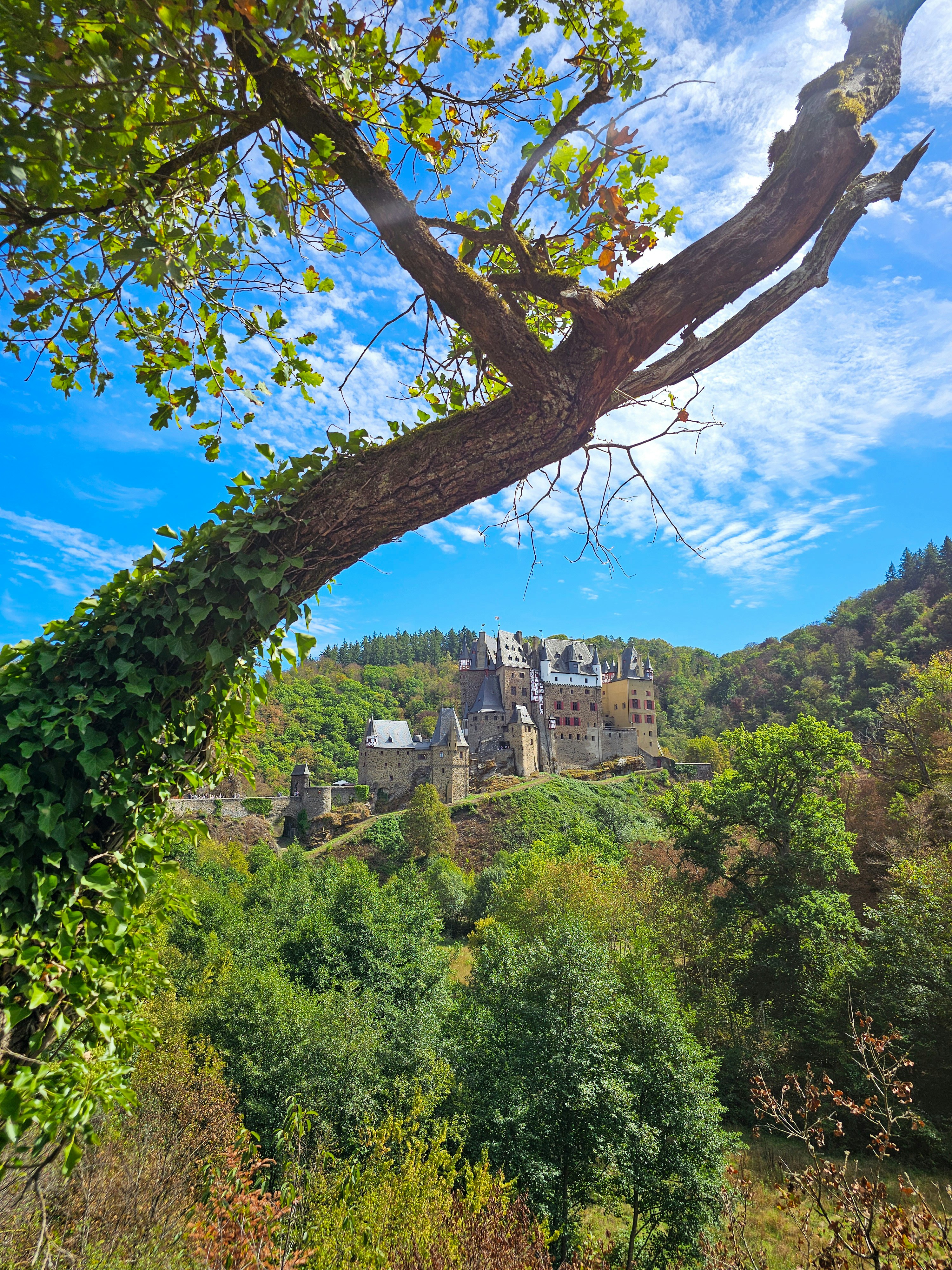 Eltz Castle on a forested hill viewed through the branches of an oak tree