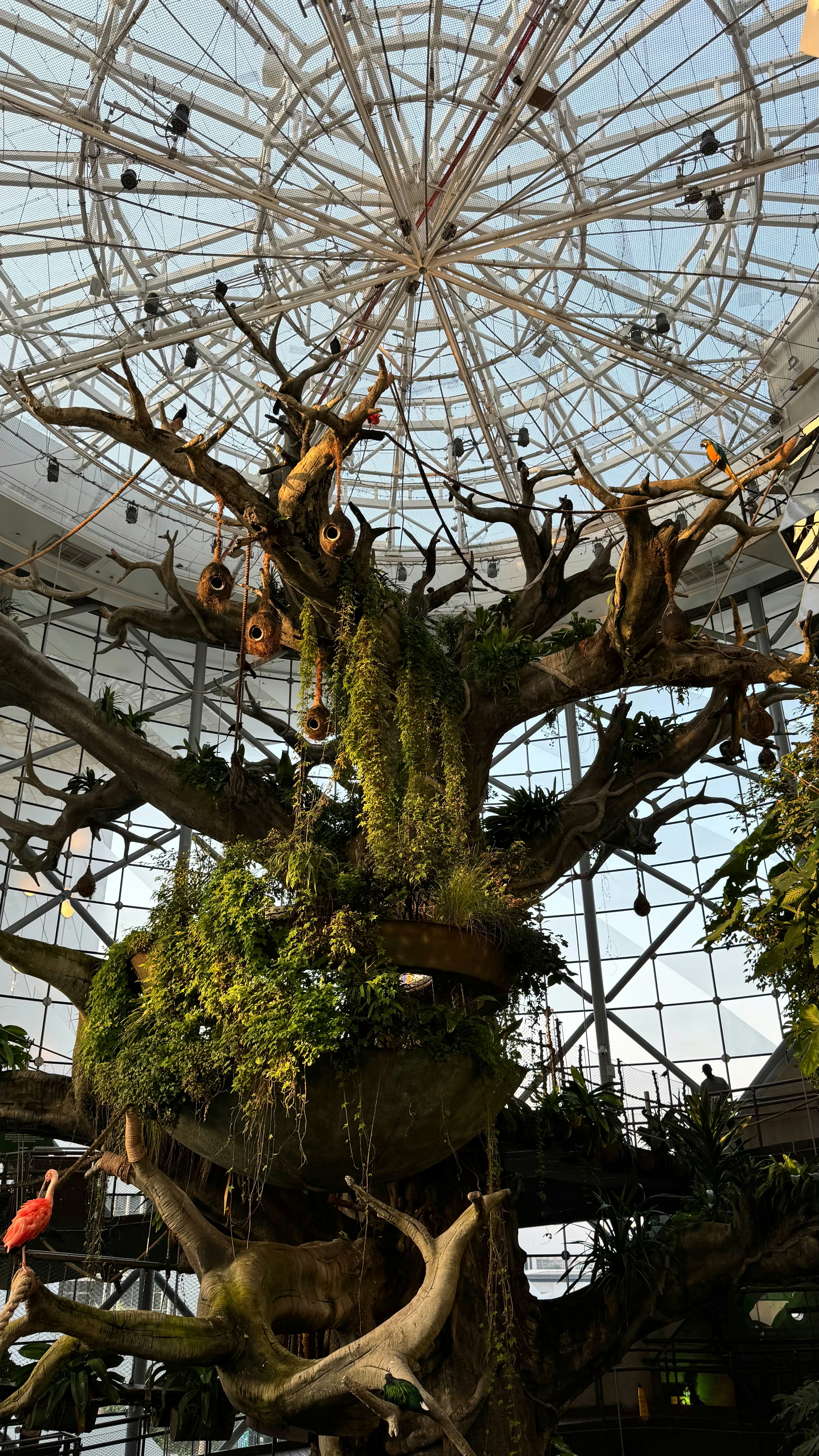 A large artificial tree with hanging nests inside a glass dome structure