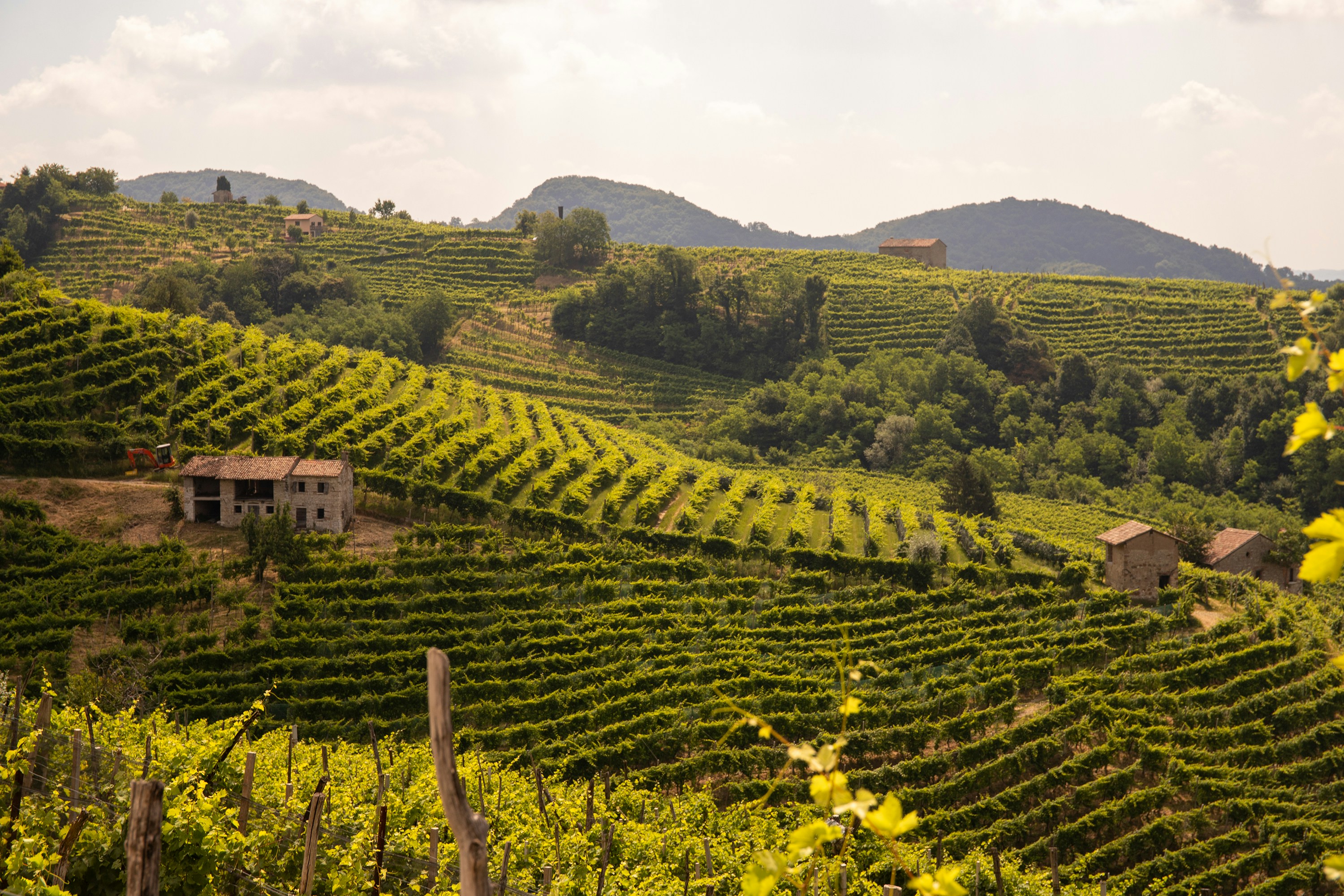 Le Nid Beaujolais — Quincié-en-Beaujolais