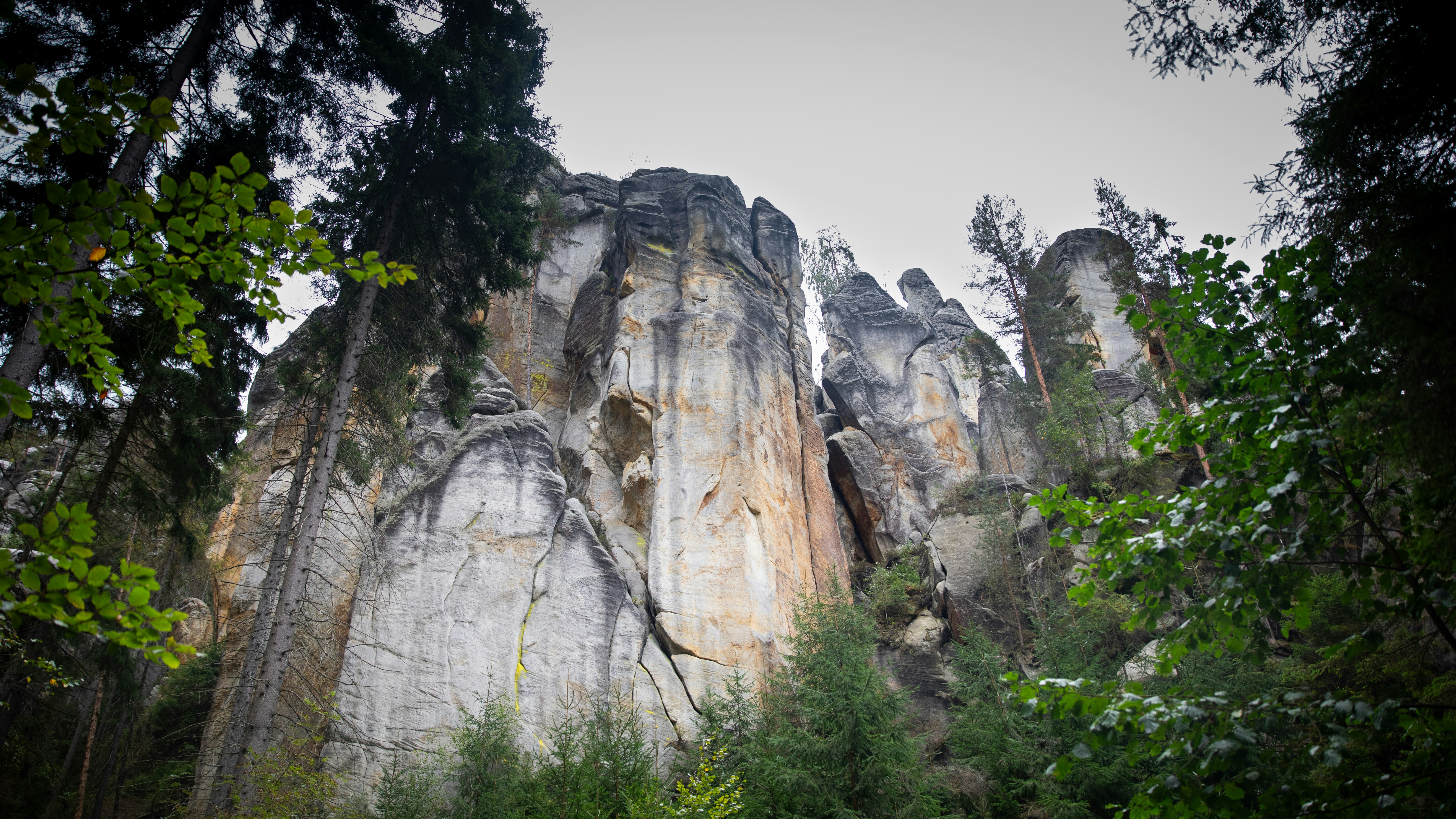 Tall sandstone rock formations rising above a dense forest of pine trees