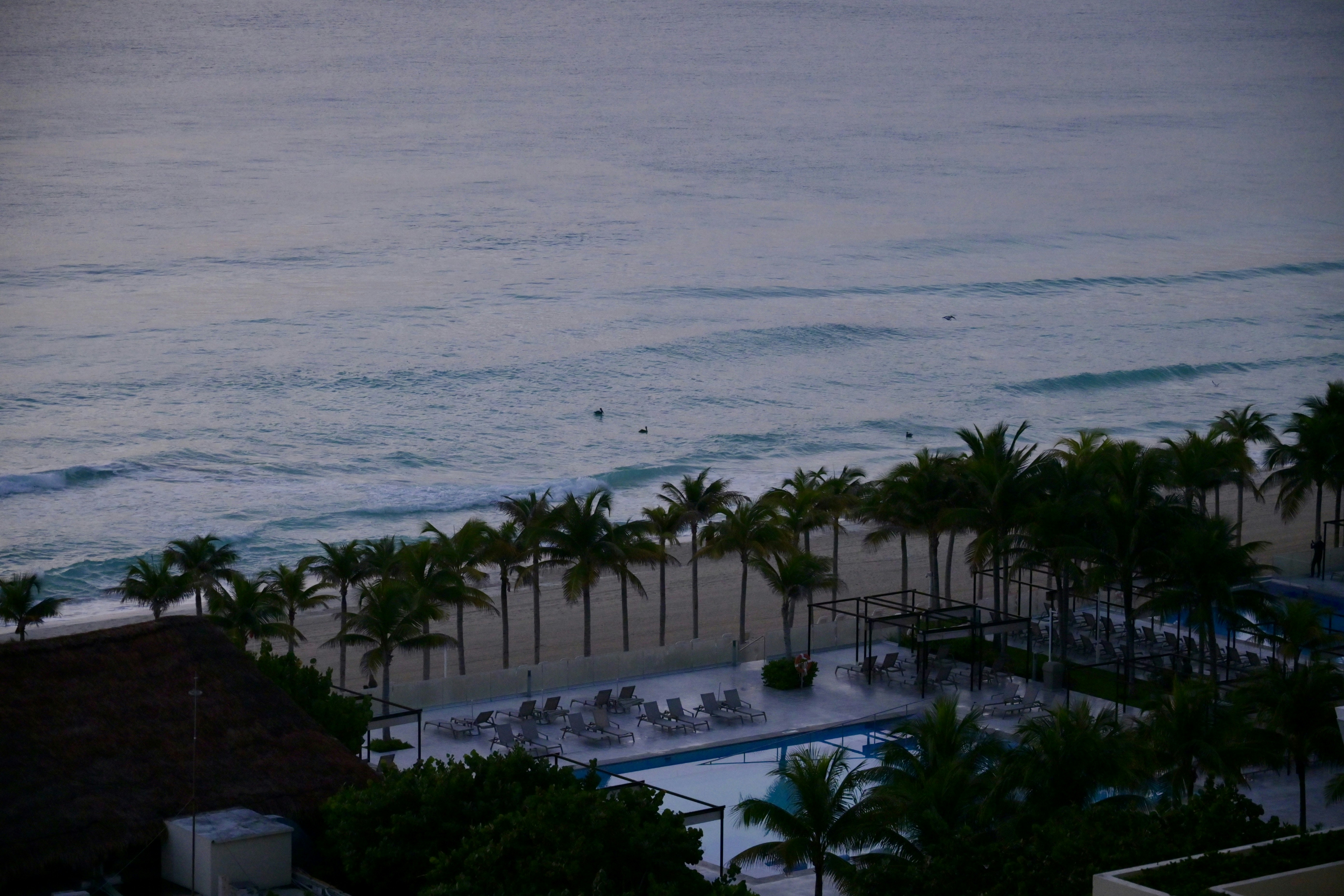 A swimming pool and palm trees beside a sandy beach and ocean waves