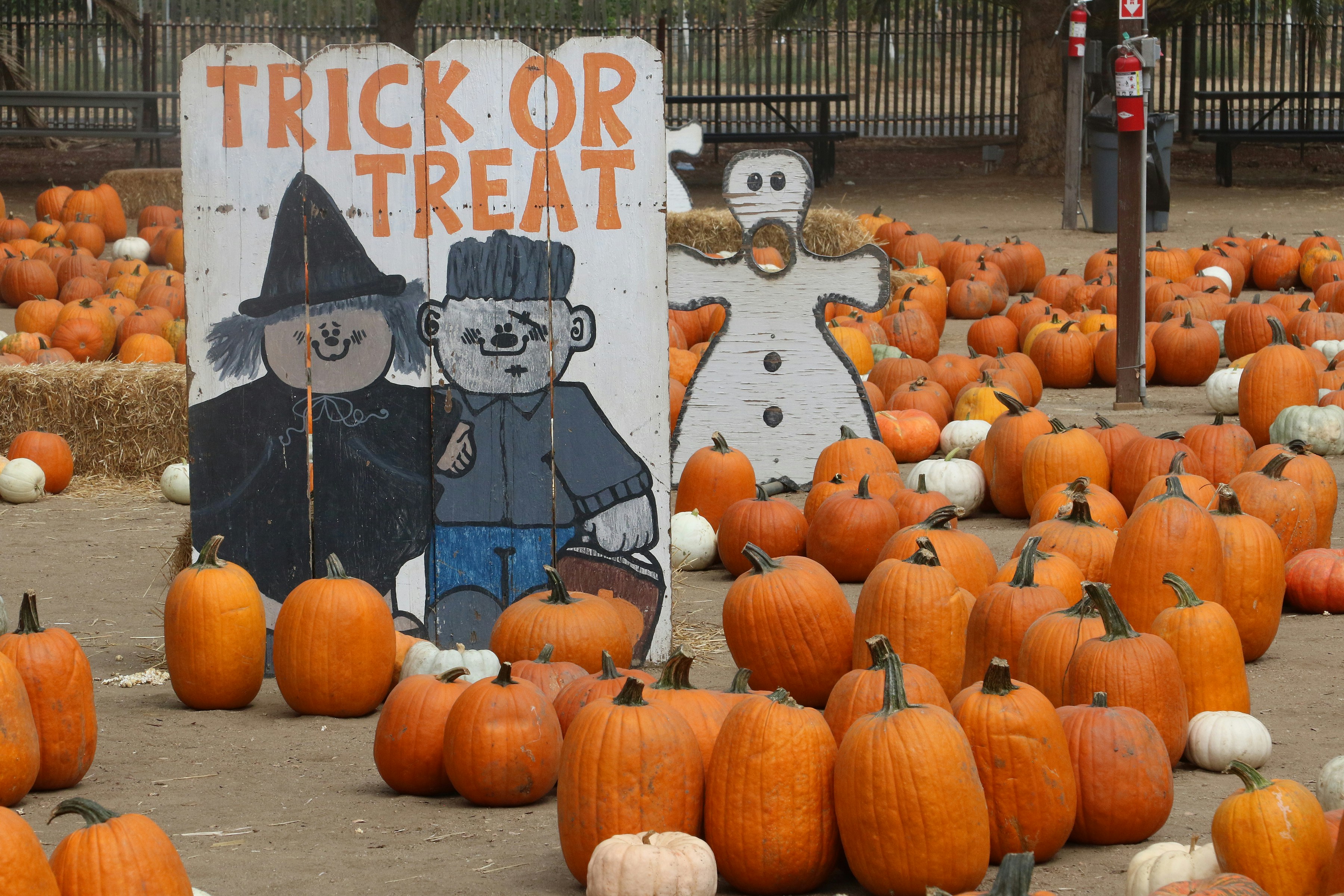 Every Trunk or Treat and Fall Festival in Amarillo This October