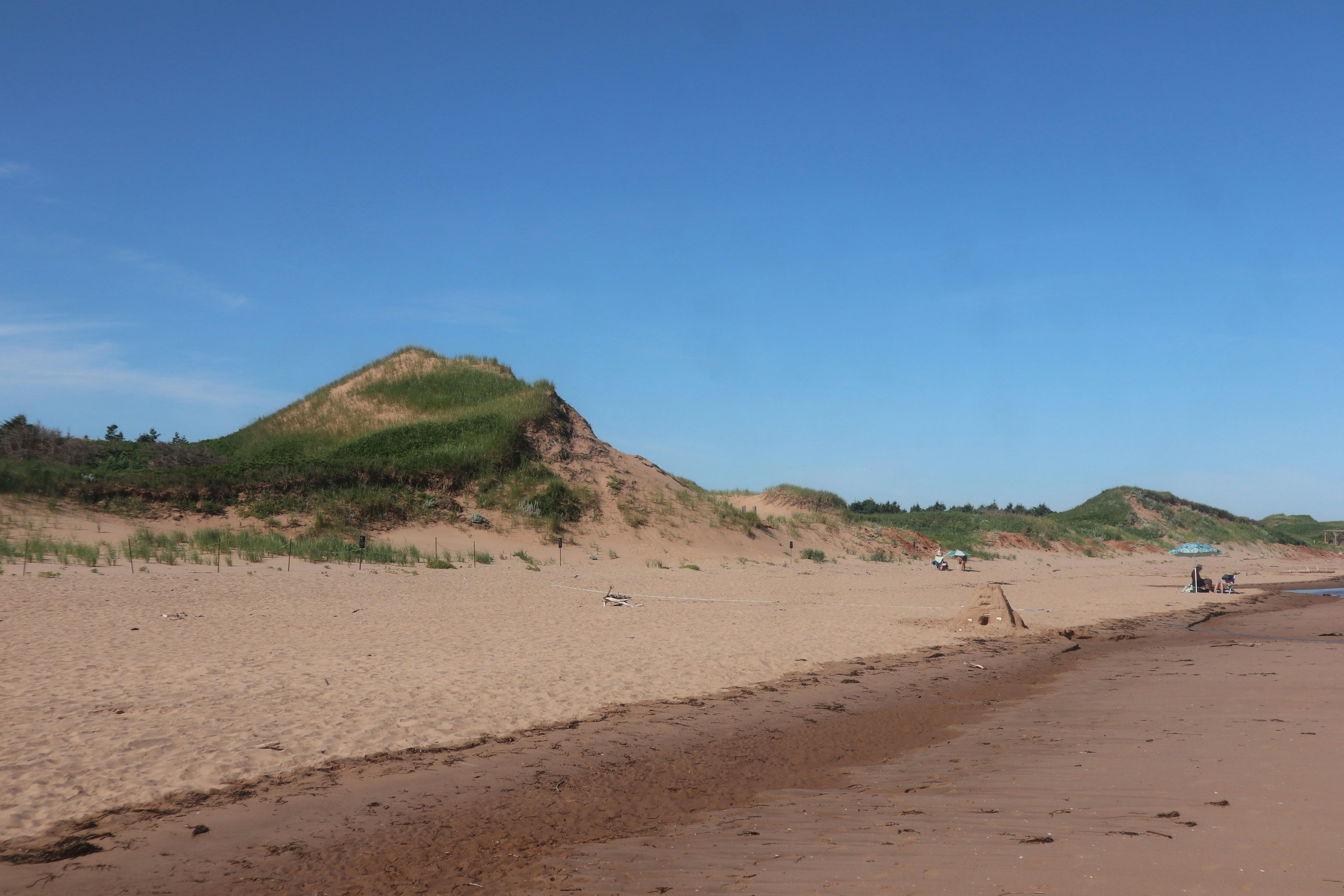 Sand dunes with green grass under a clear blue sky on a beach