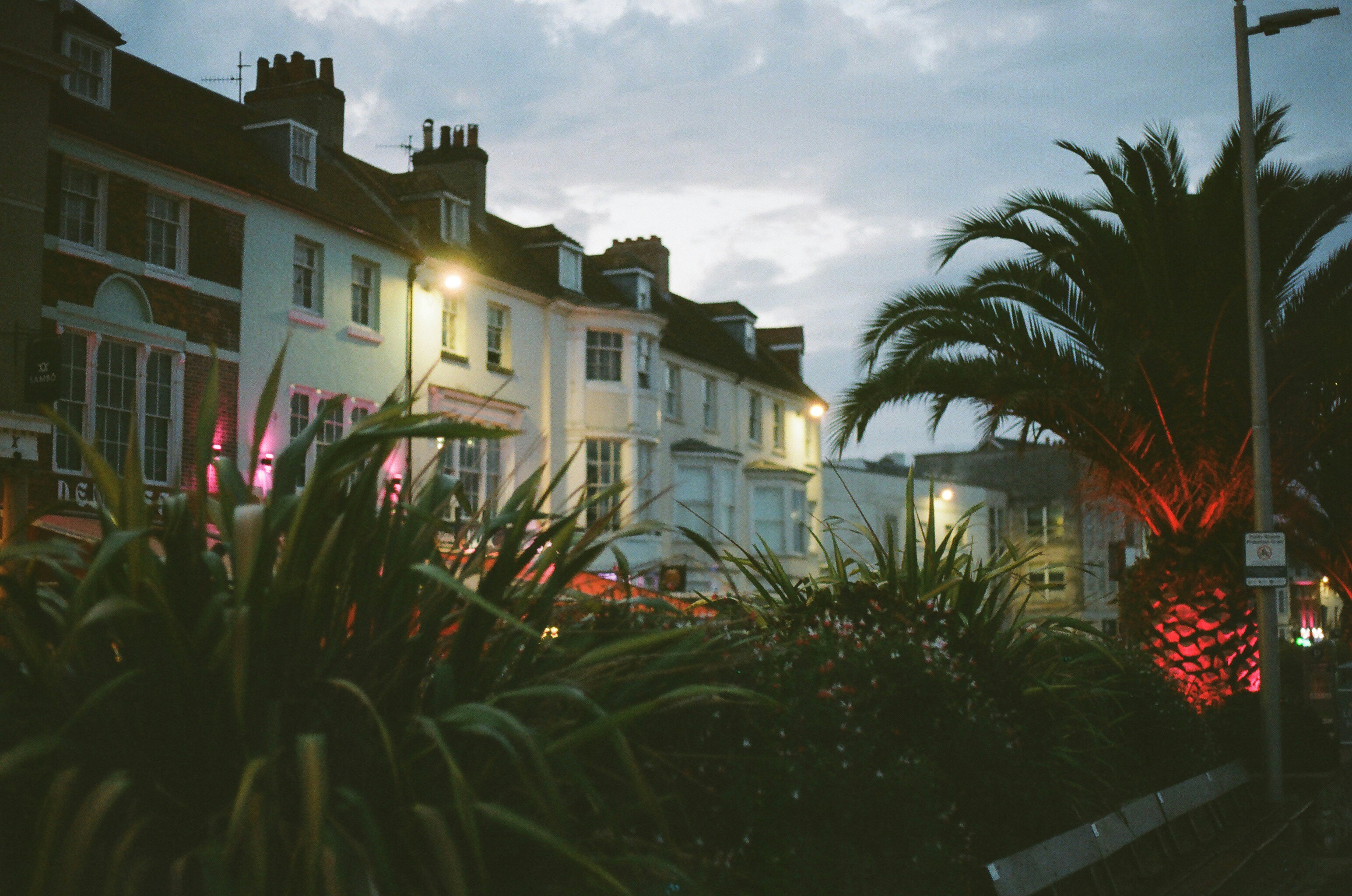 A row of historic townhouses at night with a palm tree illuminated in red