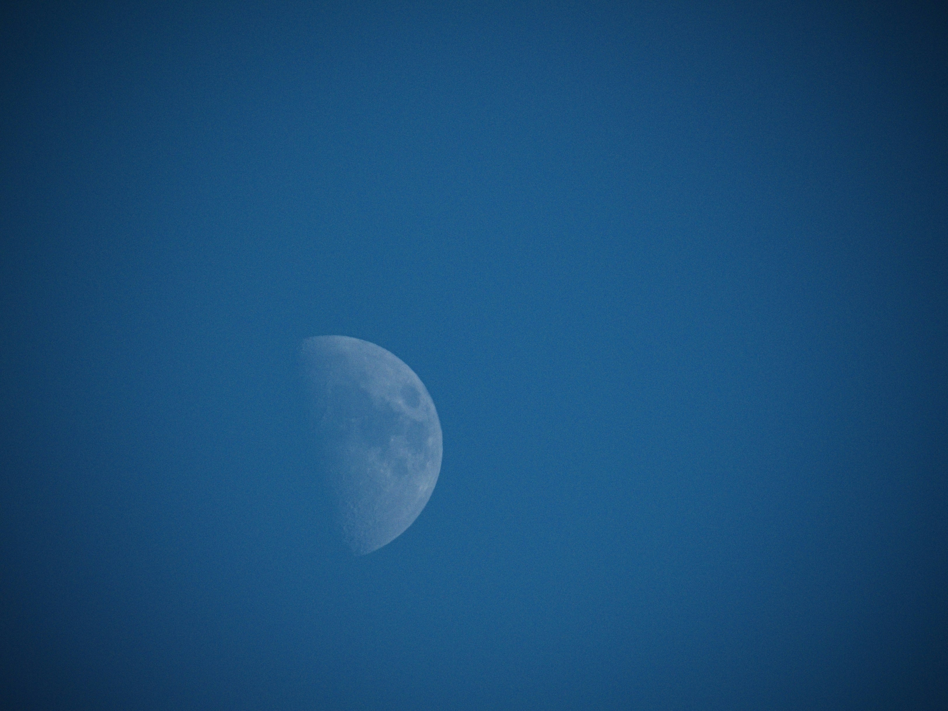 A half moon visible in a clear blue daytime sky