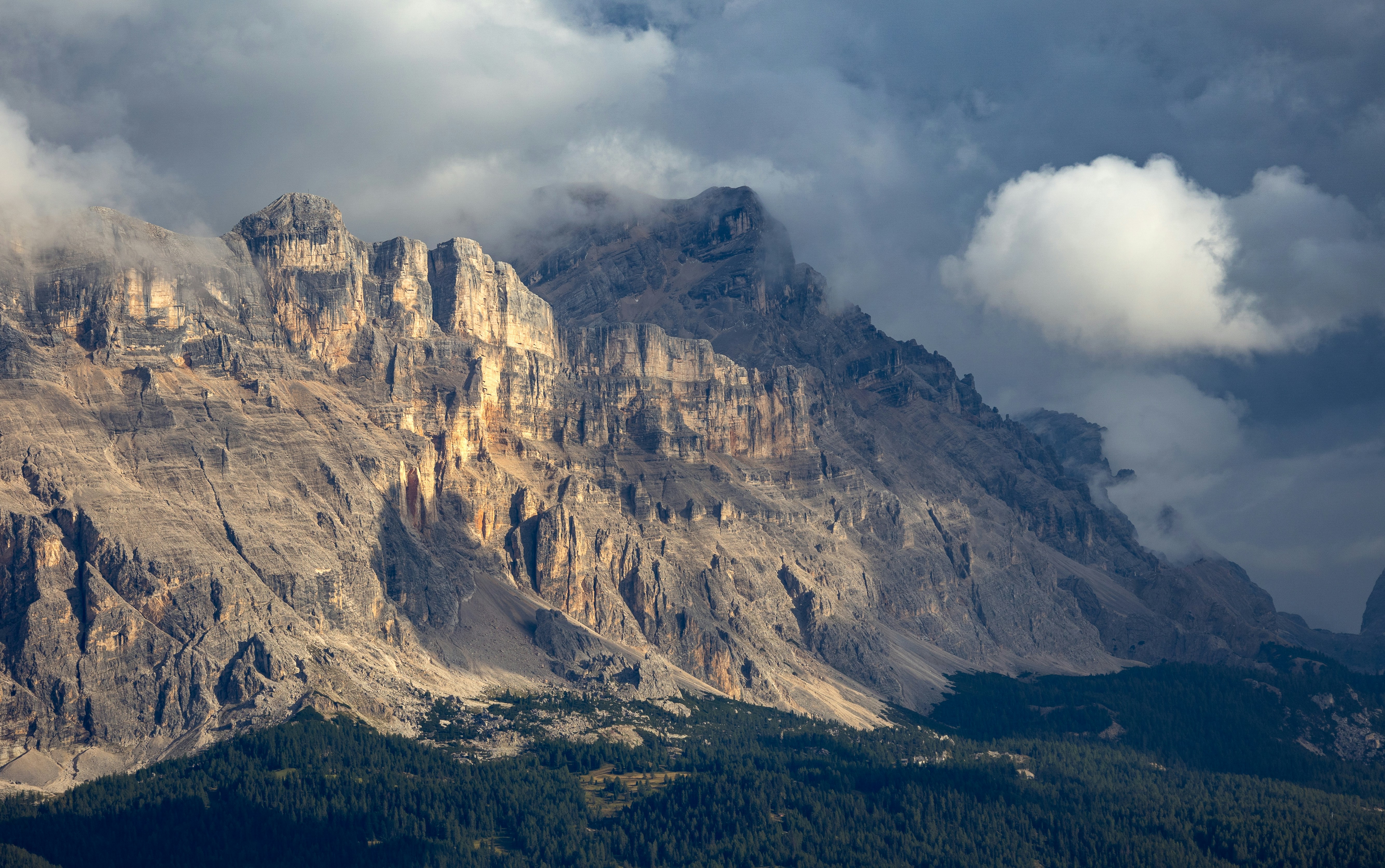Rugged limestone peaks rising above a dark pine forest under heavy clouds