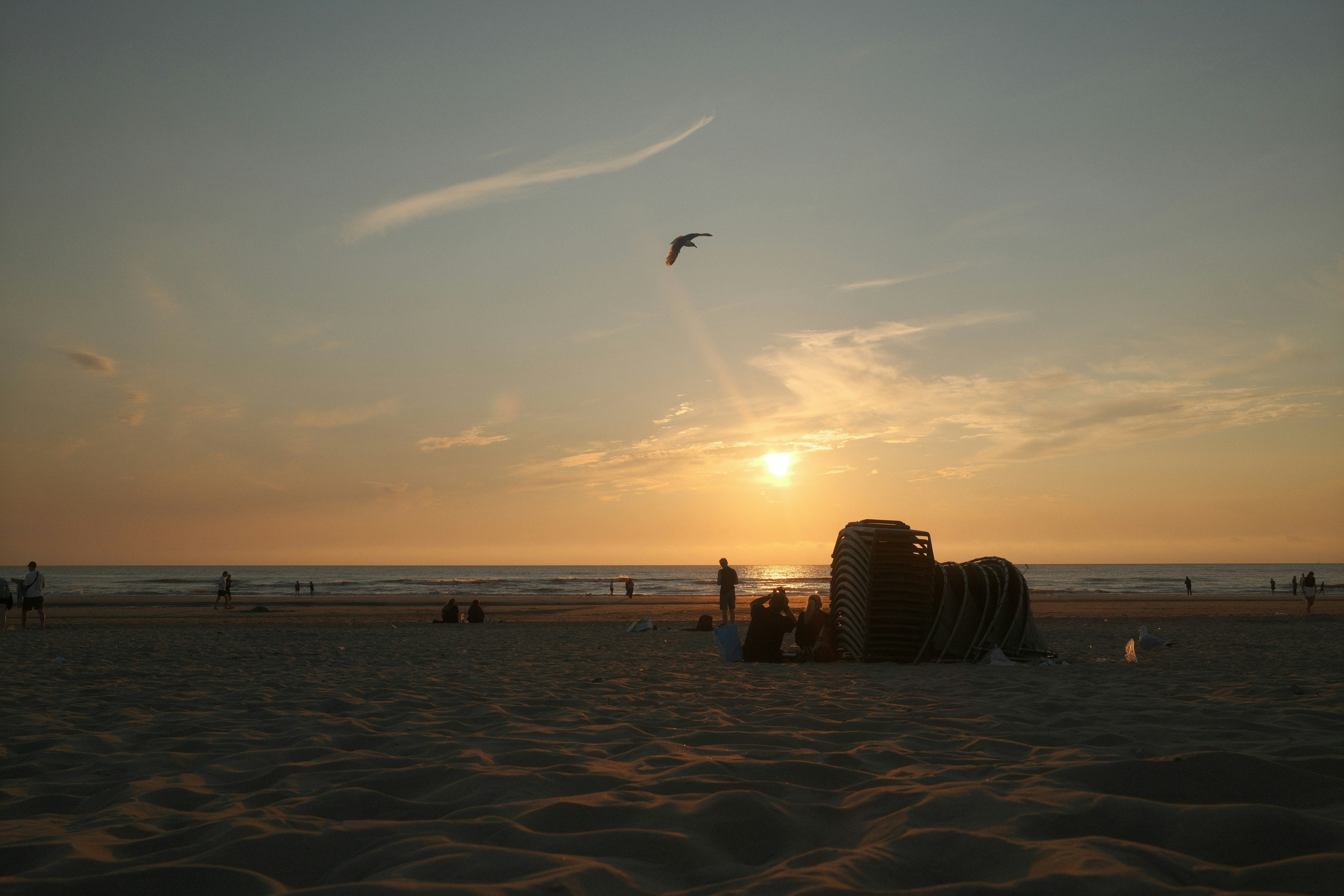 Gente en la playa de arena bajo el sol bajo - Foto gratuita en Unsplash