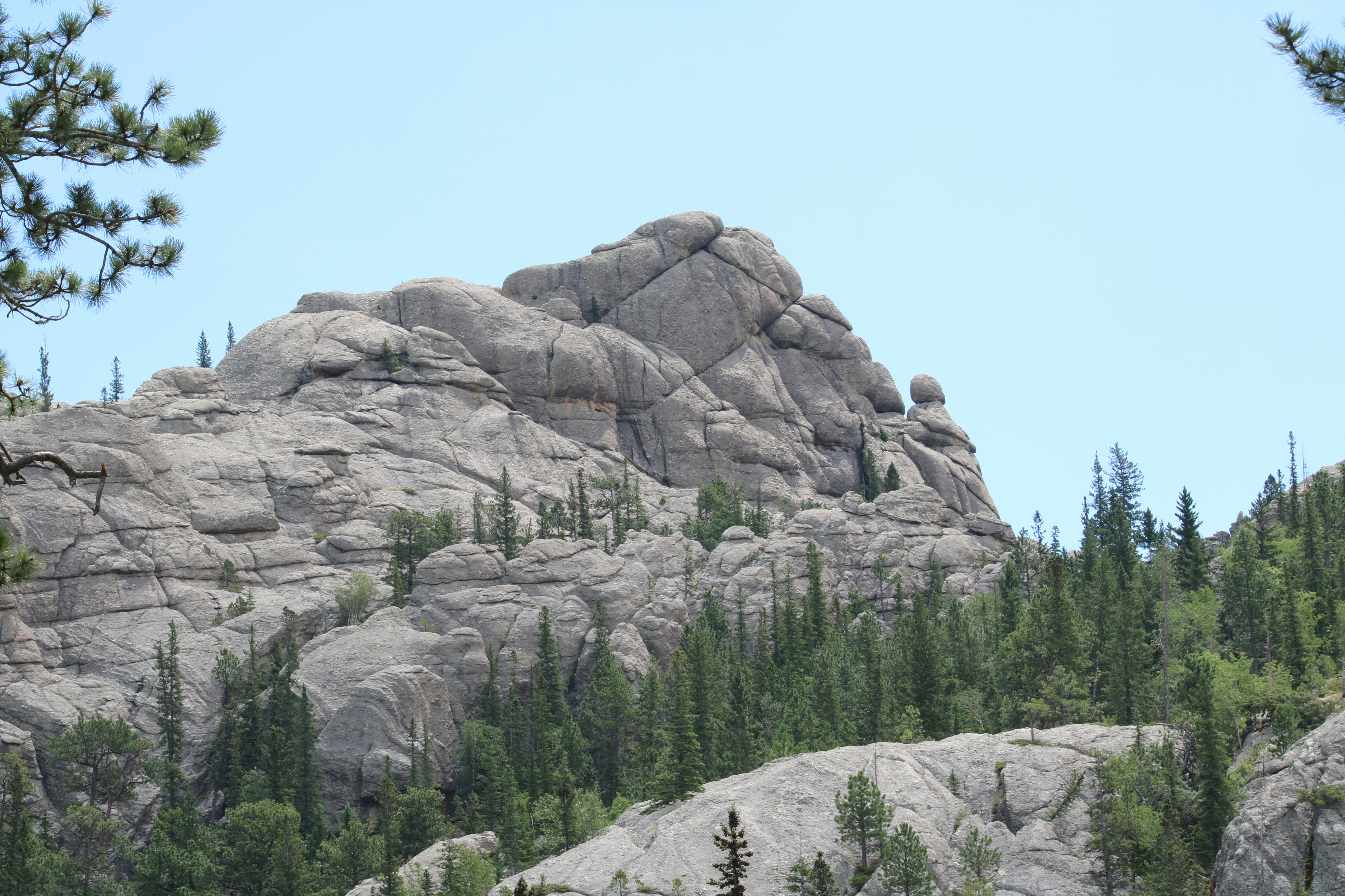 A large grey granite rock formation rising above a dense pine forest