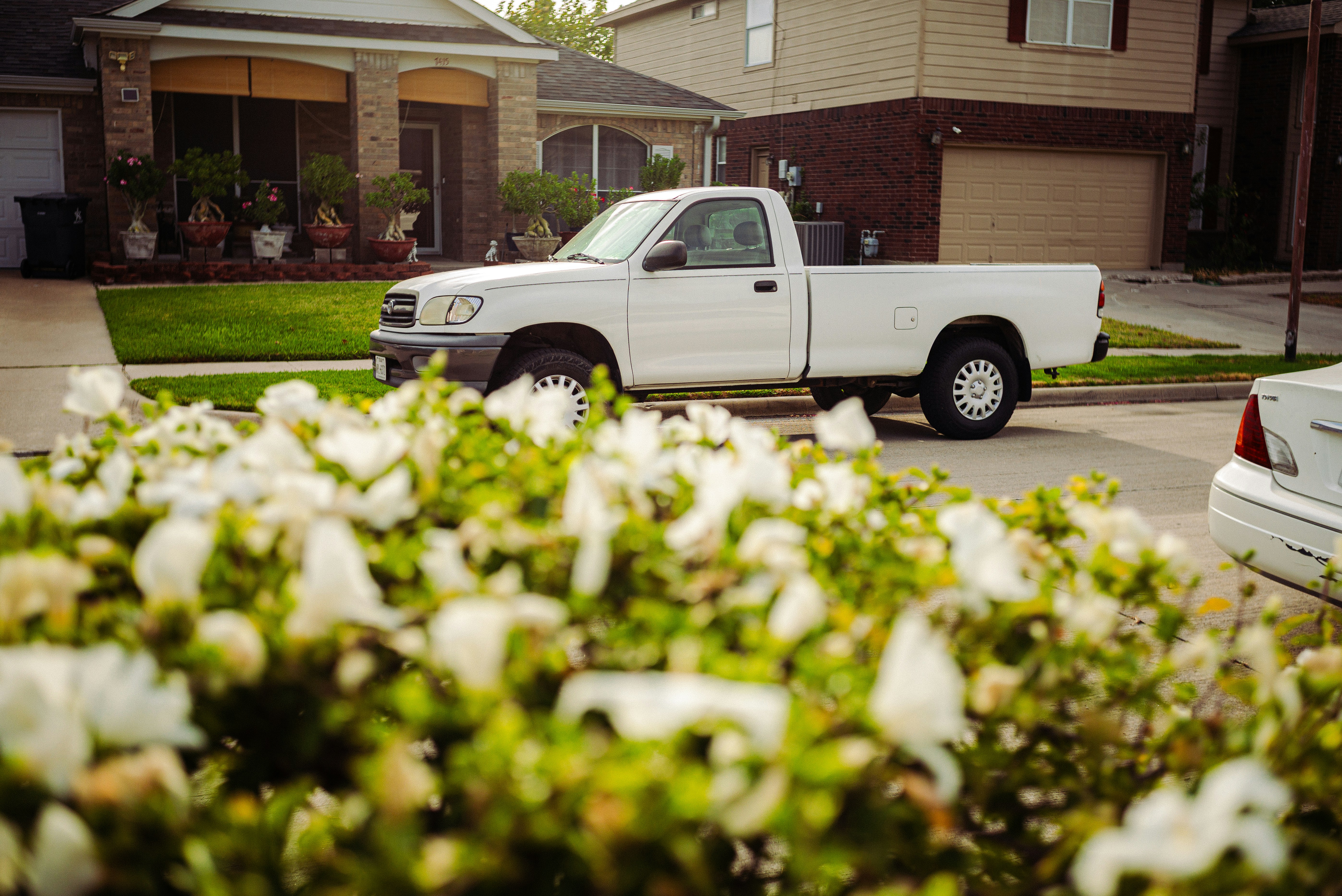 Ein weißer Pickup, der auf einer Vorstadtstraße geparkt war, mit weißen Blumen im Vordergrund