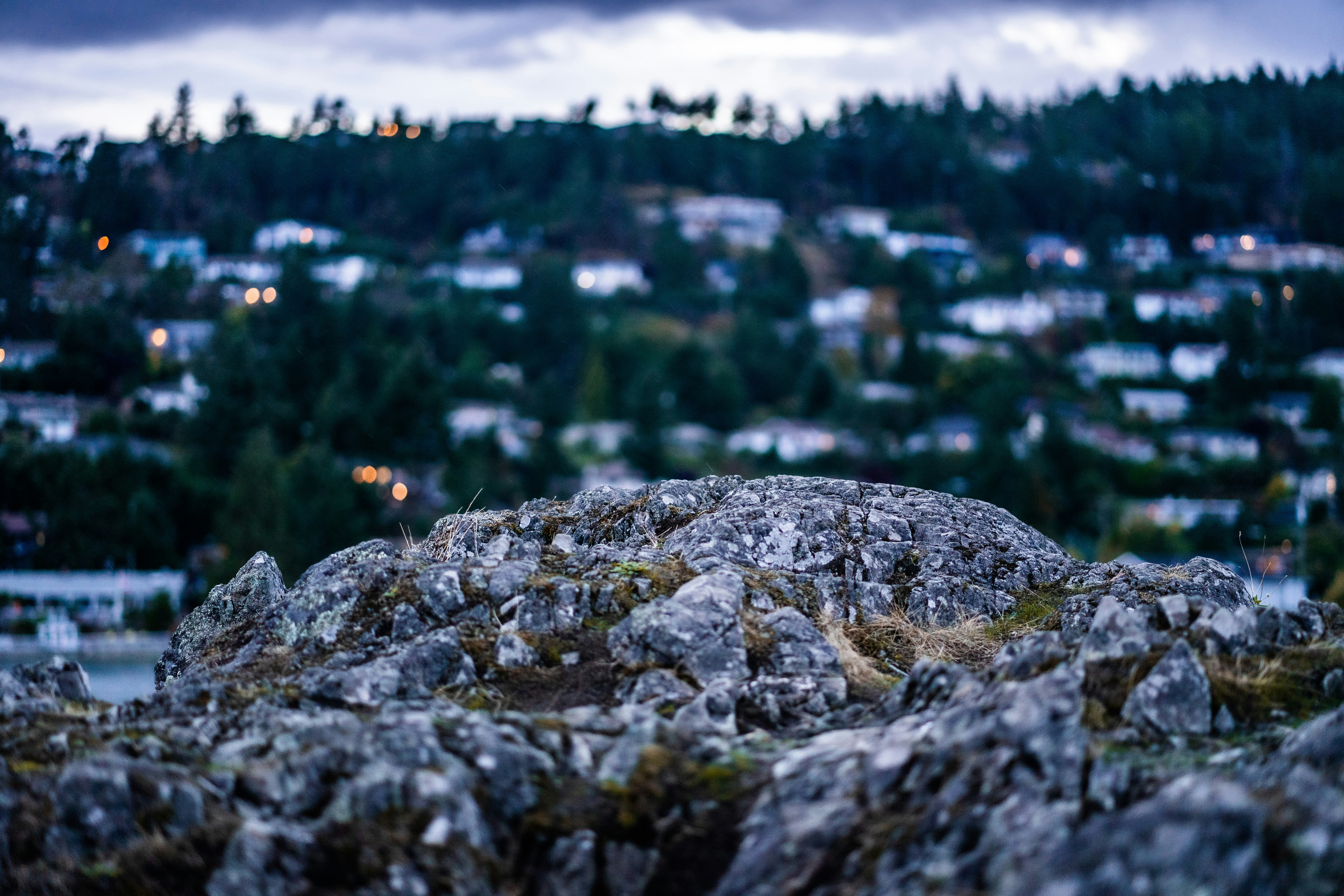 Jagged grey rocks in the foreground with a blurred residential hillside in the distance