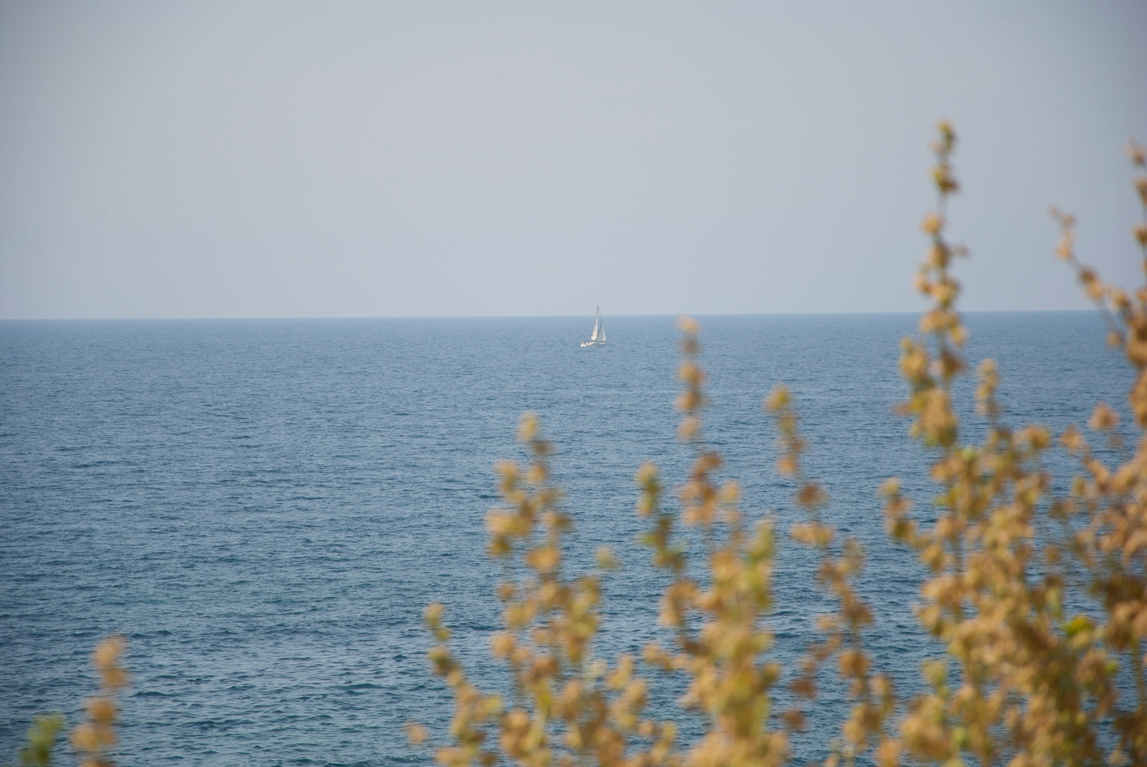 Velero en un mar azul y tranquilo - Foto gratuita en Unsplash