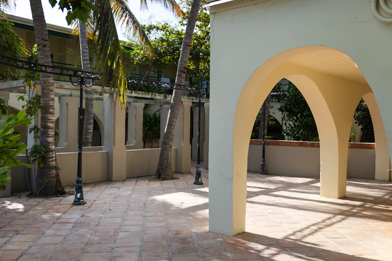 Patio interior con vegetación