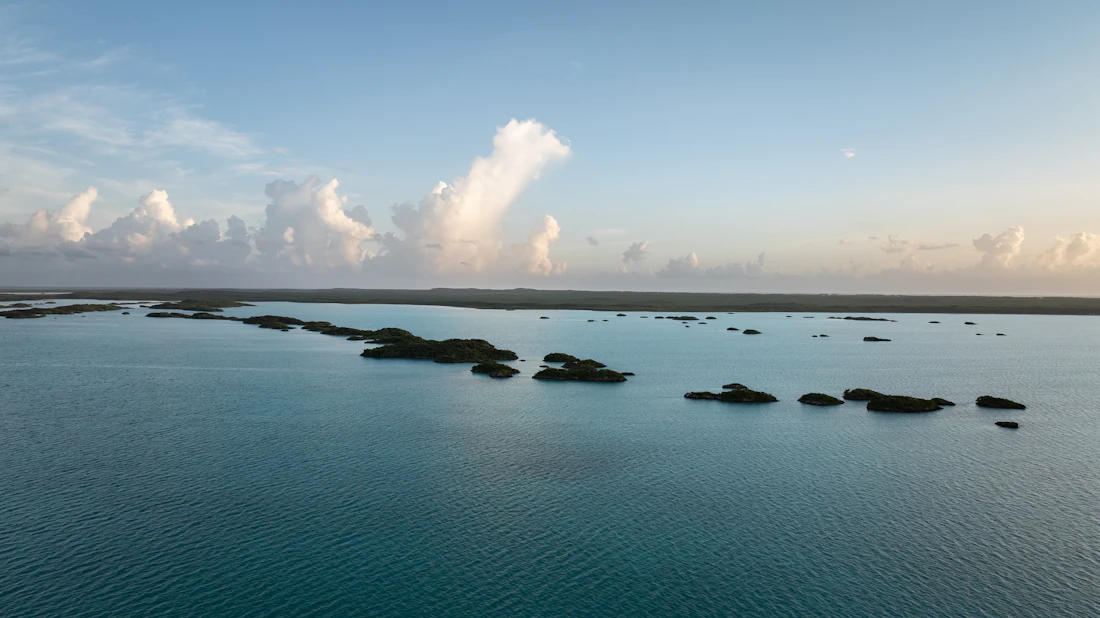 New York e Turks e Caicos