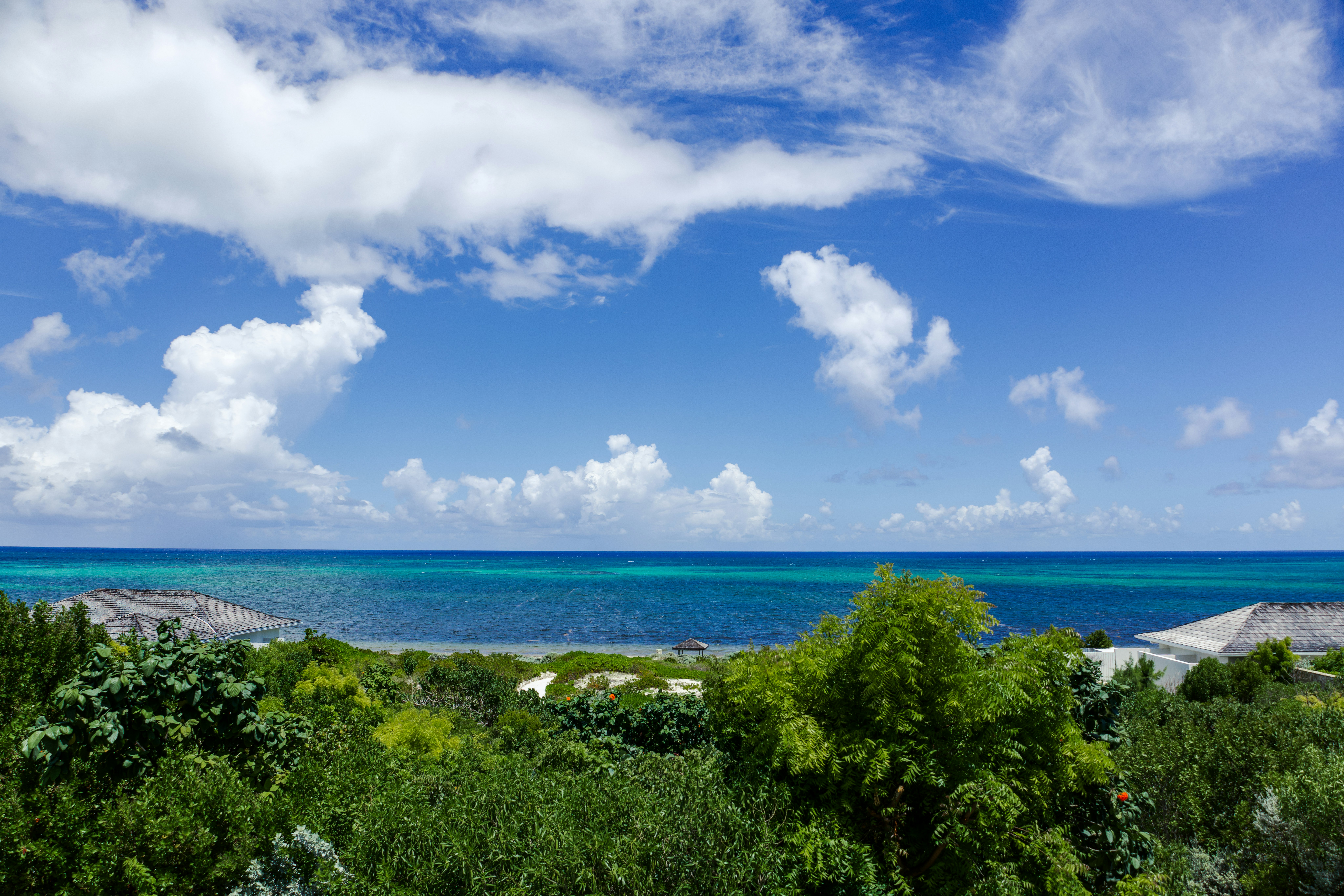 A view of the turquoise Caribbean Sea over lush green tropical foliage