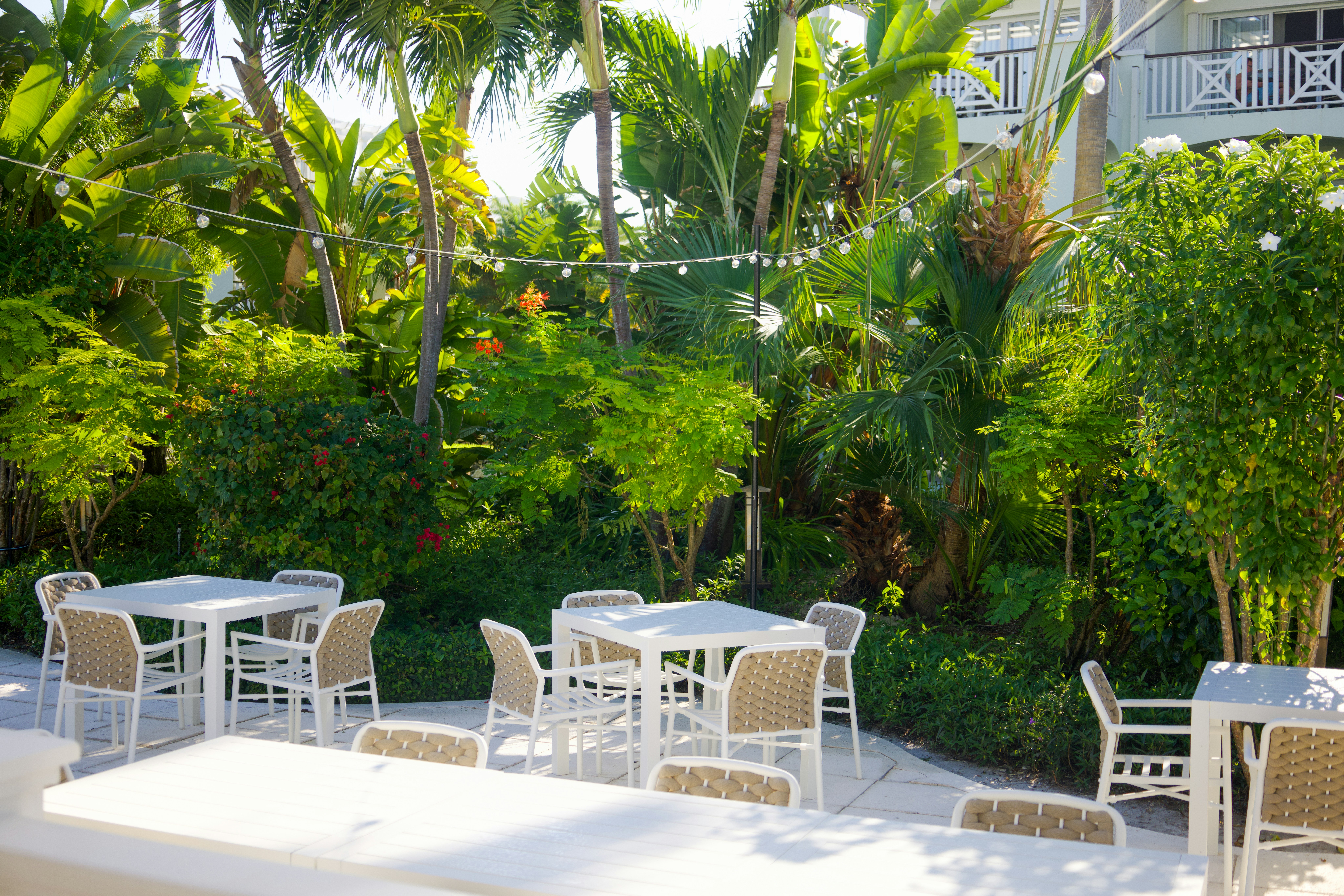 White tables and chairs on a patio surrounded by lush tropical palm trees