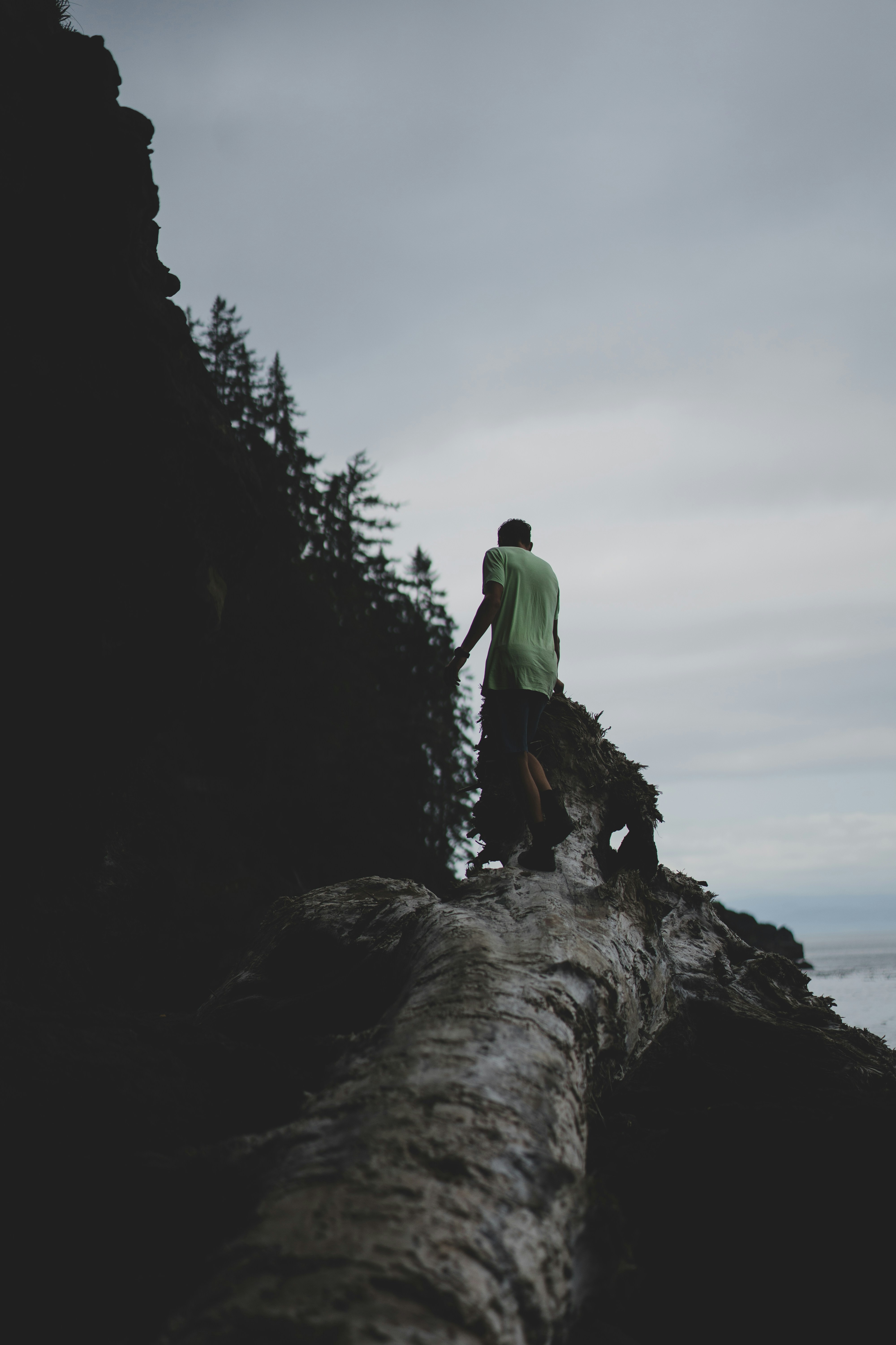 A person in a light green shirt walking along a fallen tree trunk
