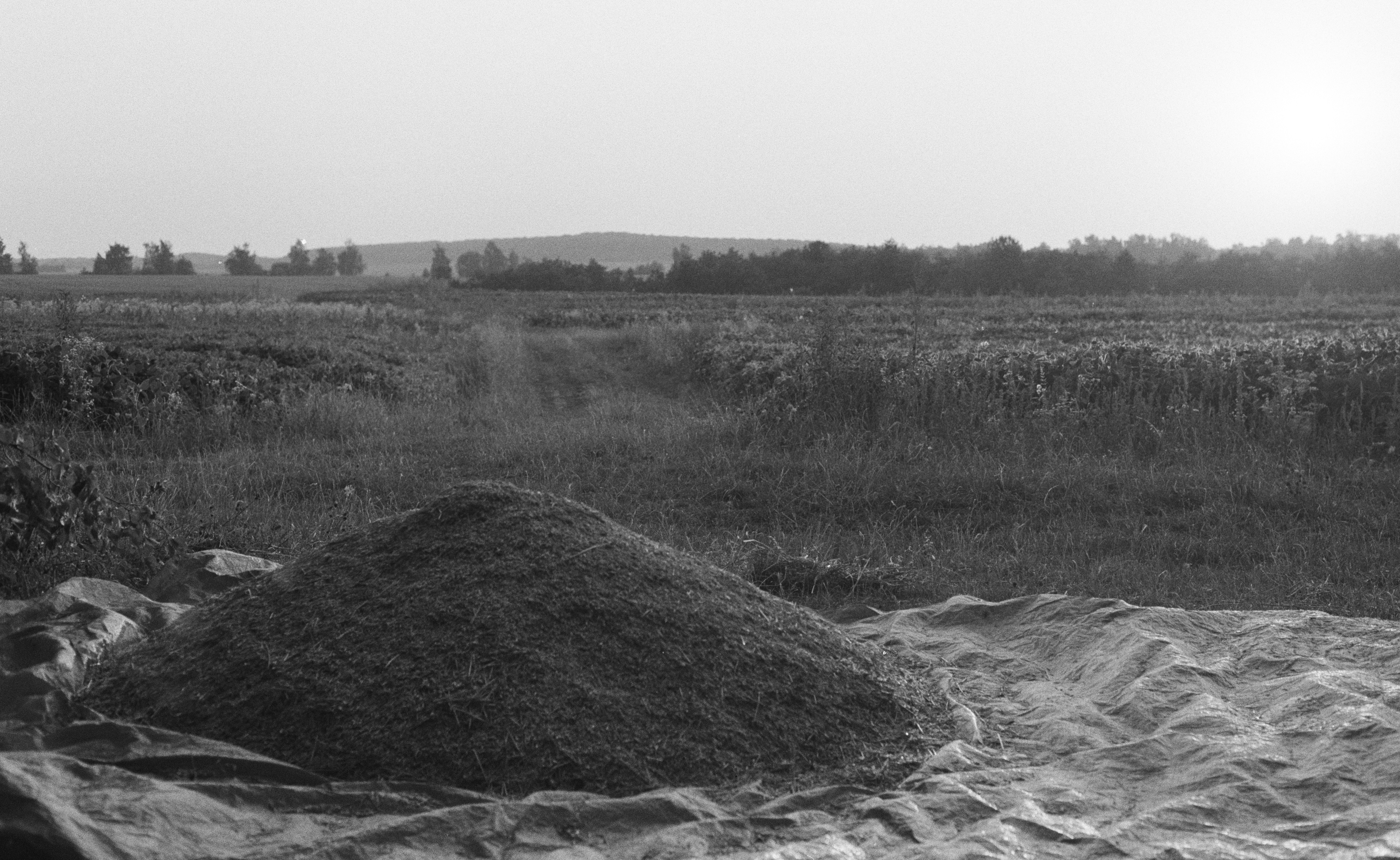 A pile of soil on a plastic sheet in a grassy field