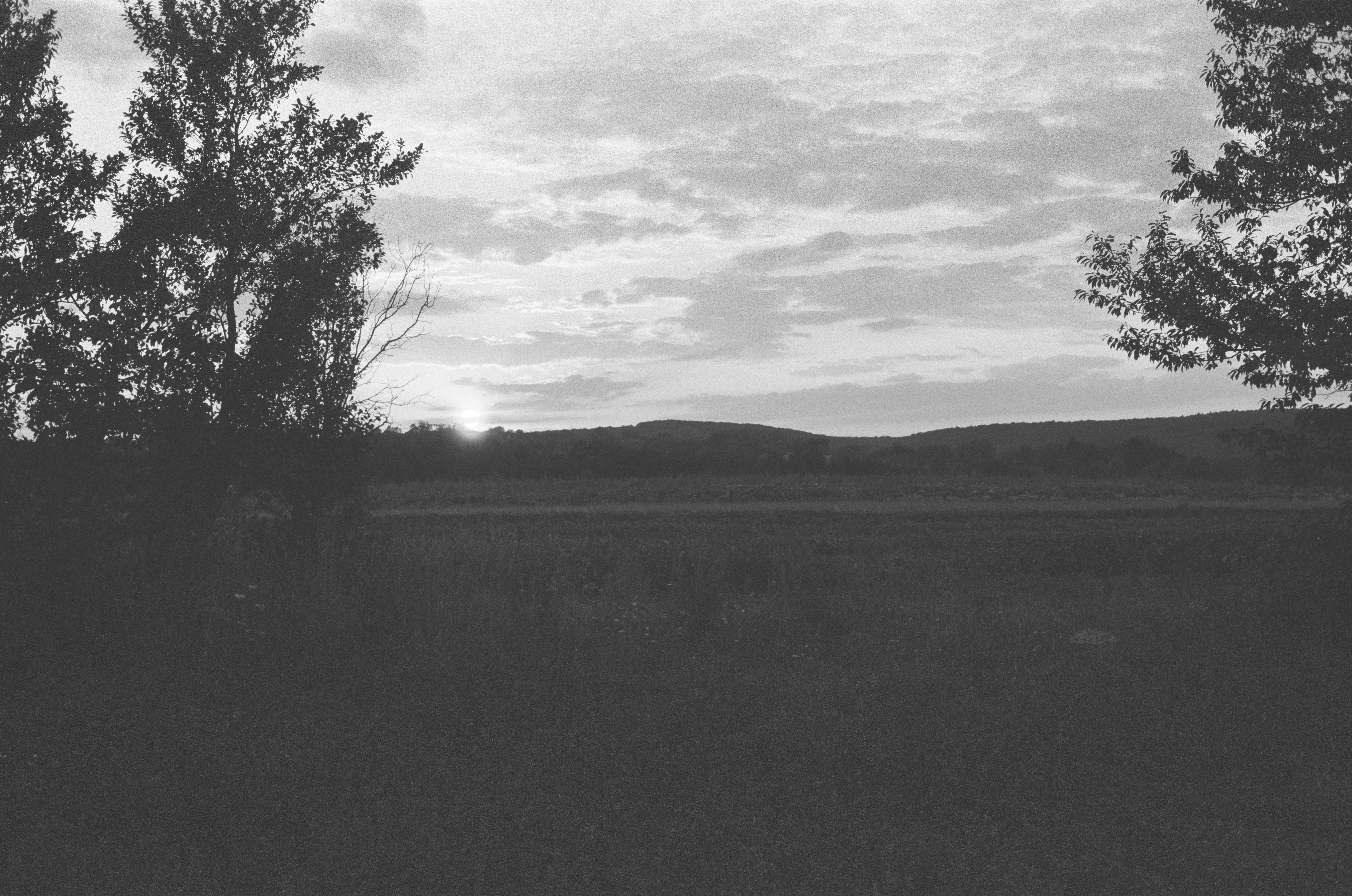 A black and white landscape with trees framing a field under a cloudy sky