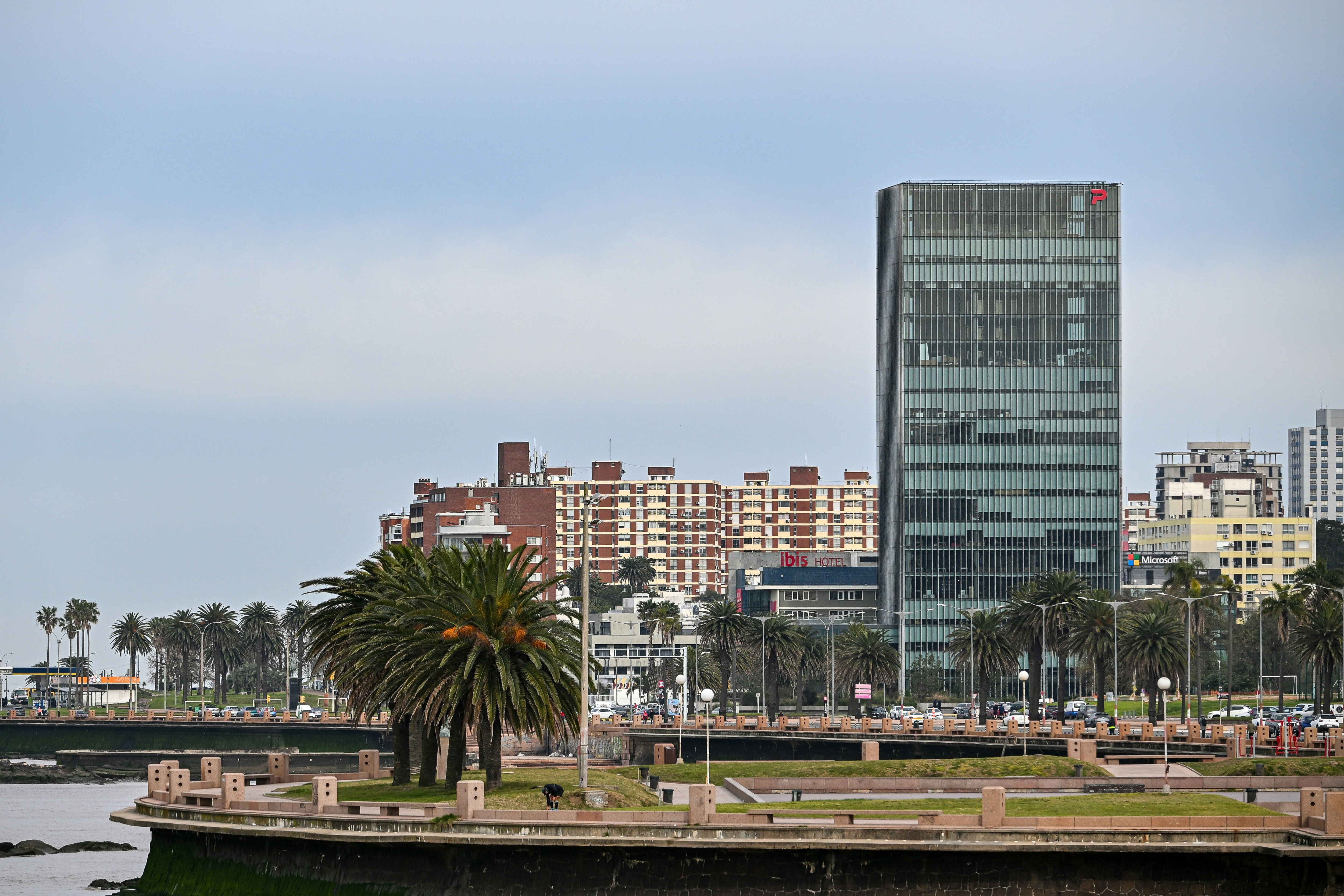 A tall glass skyscraper overlooking a coastal promenade with palm trees in Montevideo