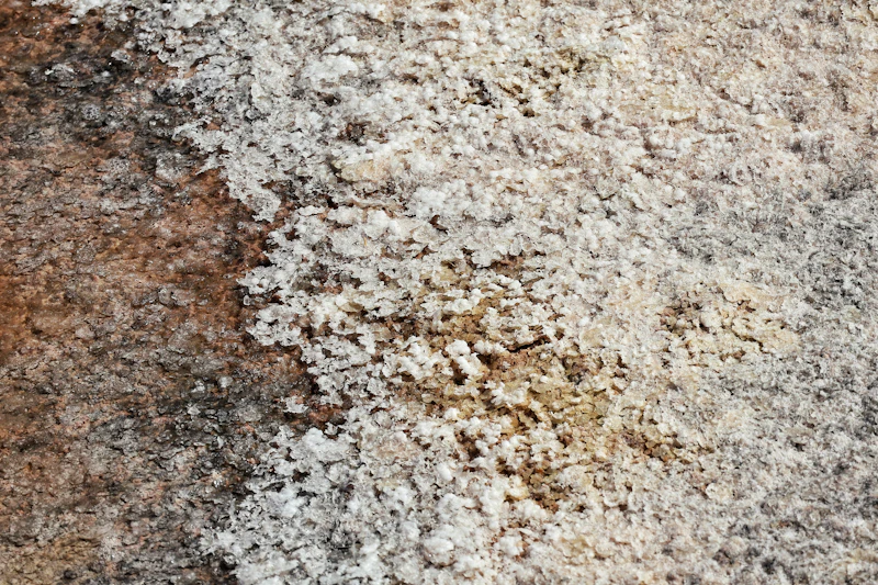 Soft white mineral crystals forming on natural stone
