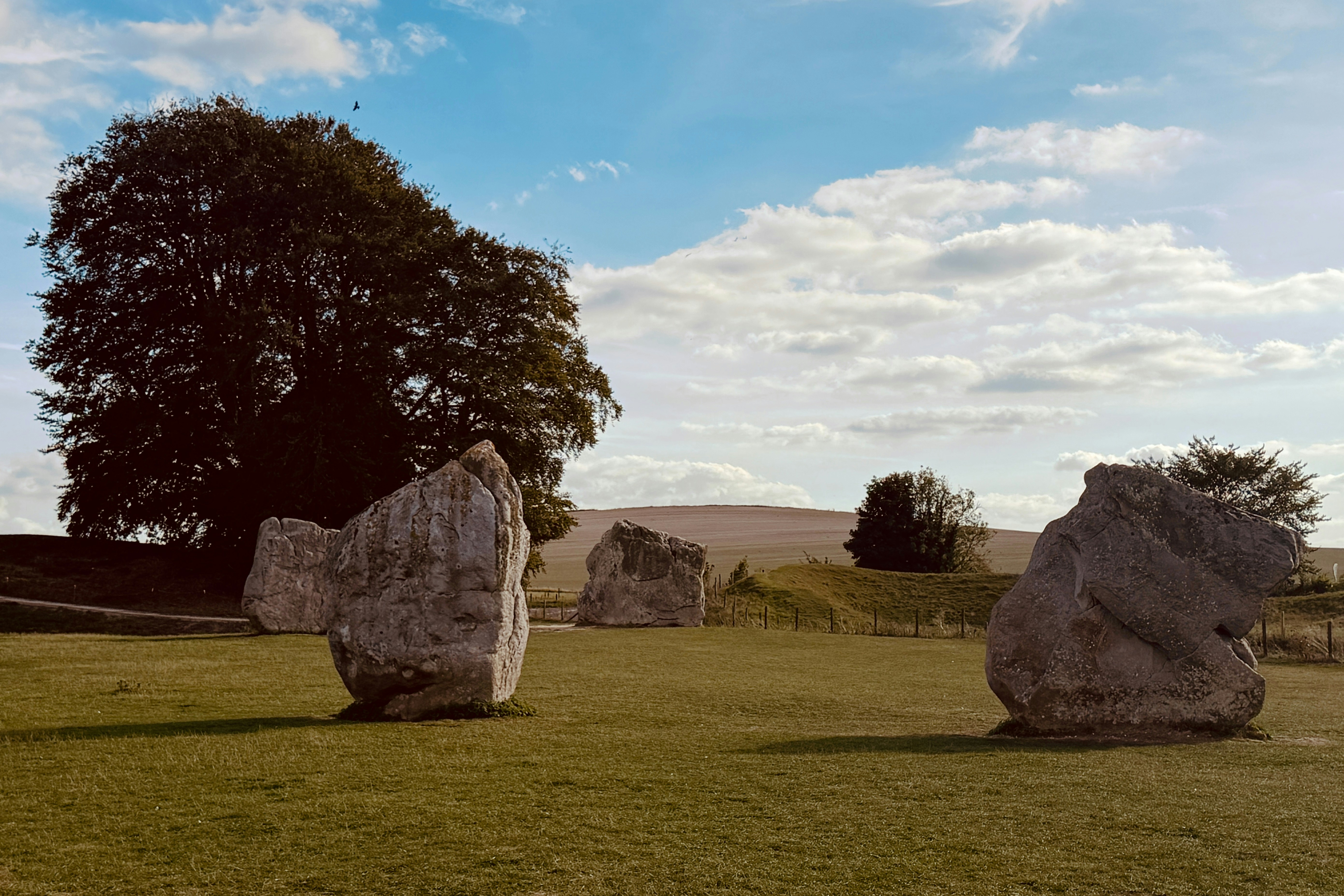 Large standing stones in a grassy field with a large tree and blue sky
