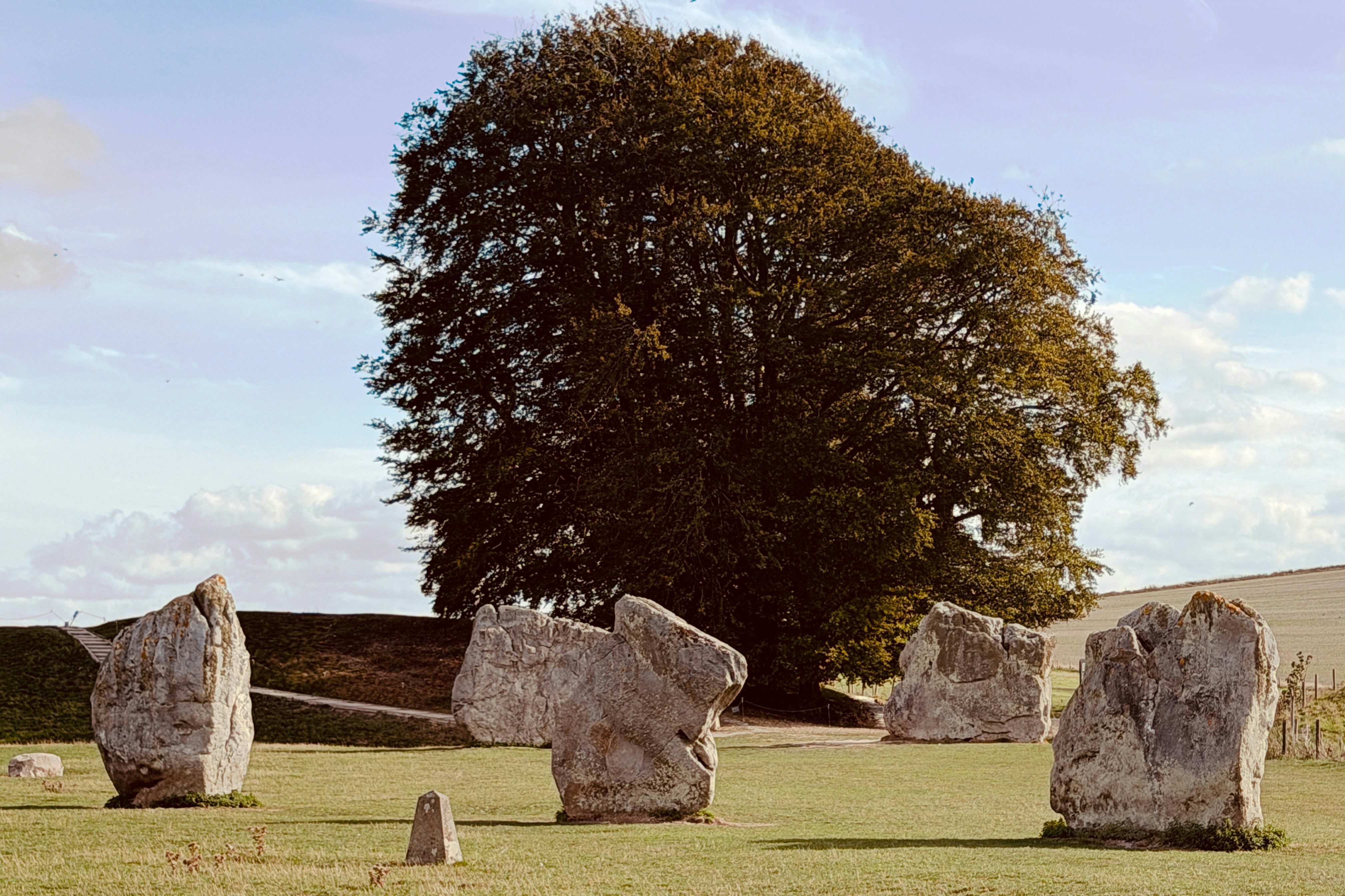 Large standing stones in a grassy field before a massive tree
