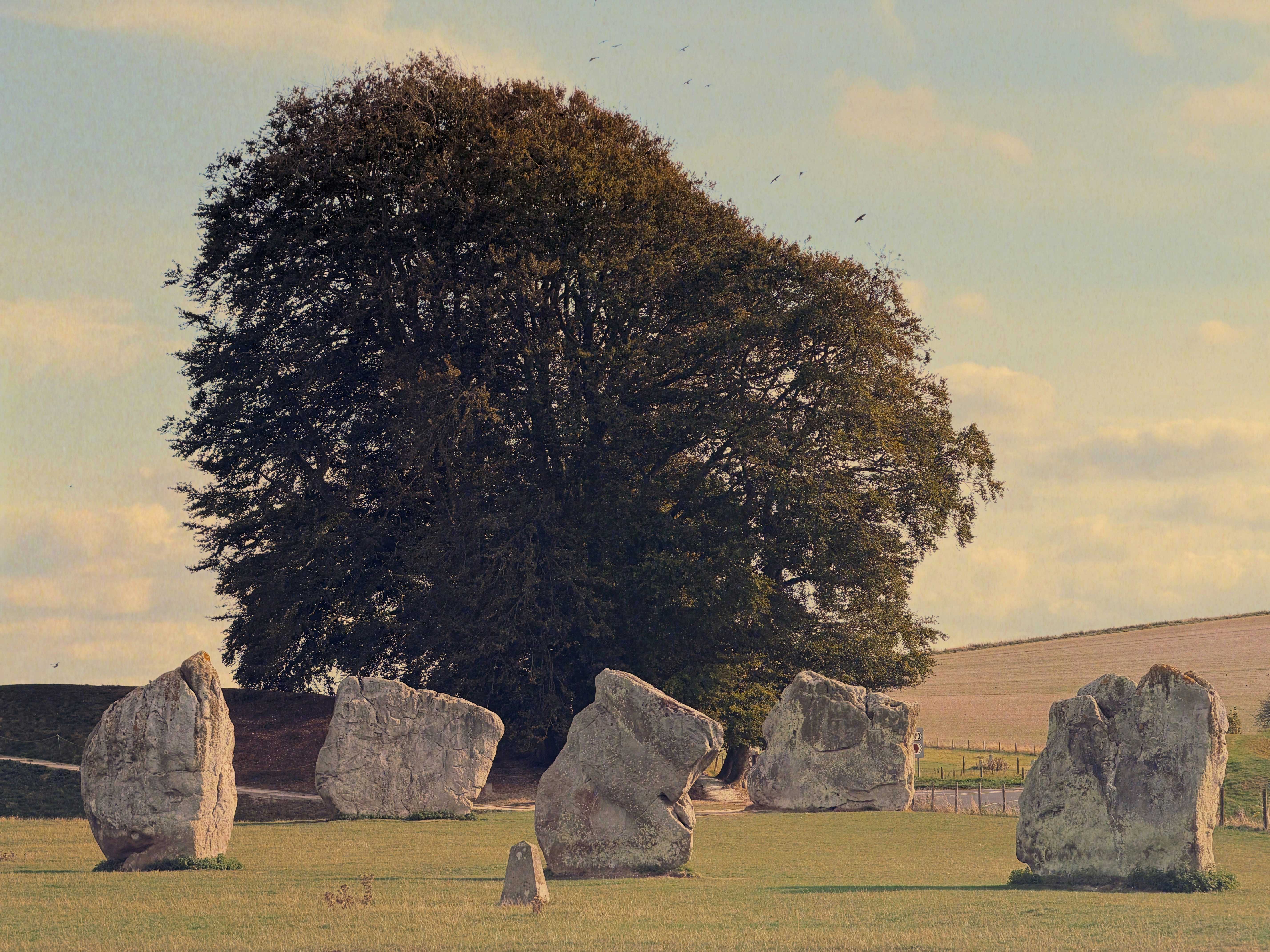 Large standing stones in a circle before a massive tree in a field
