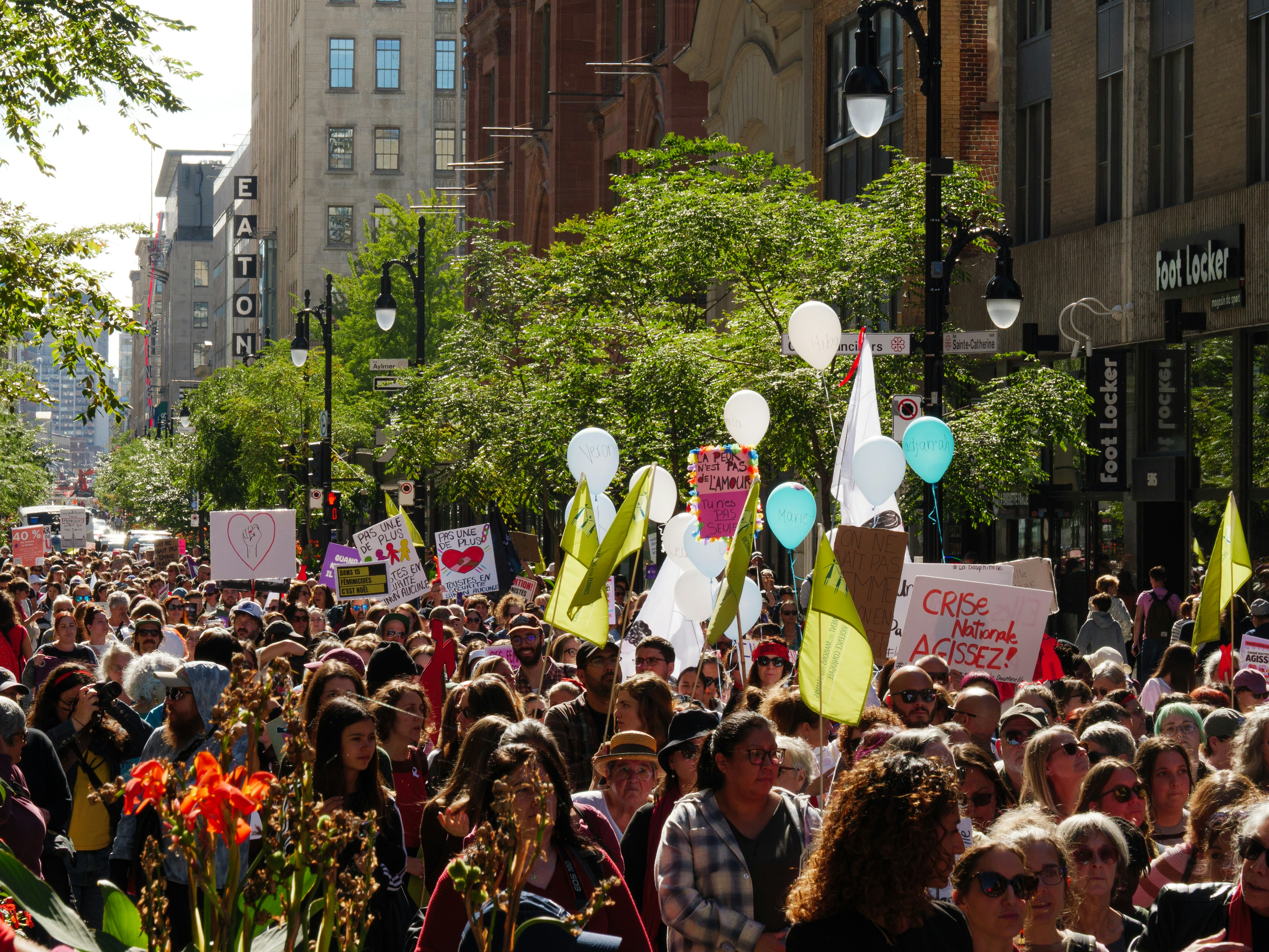 A large crowd of people marching on a city street with signs and balloons