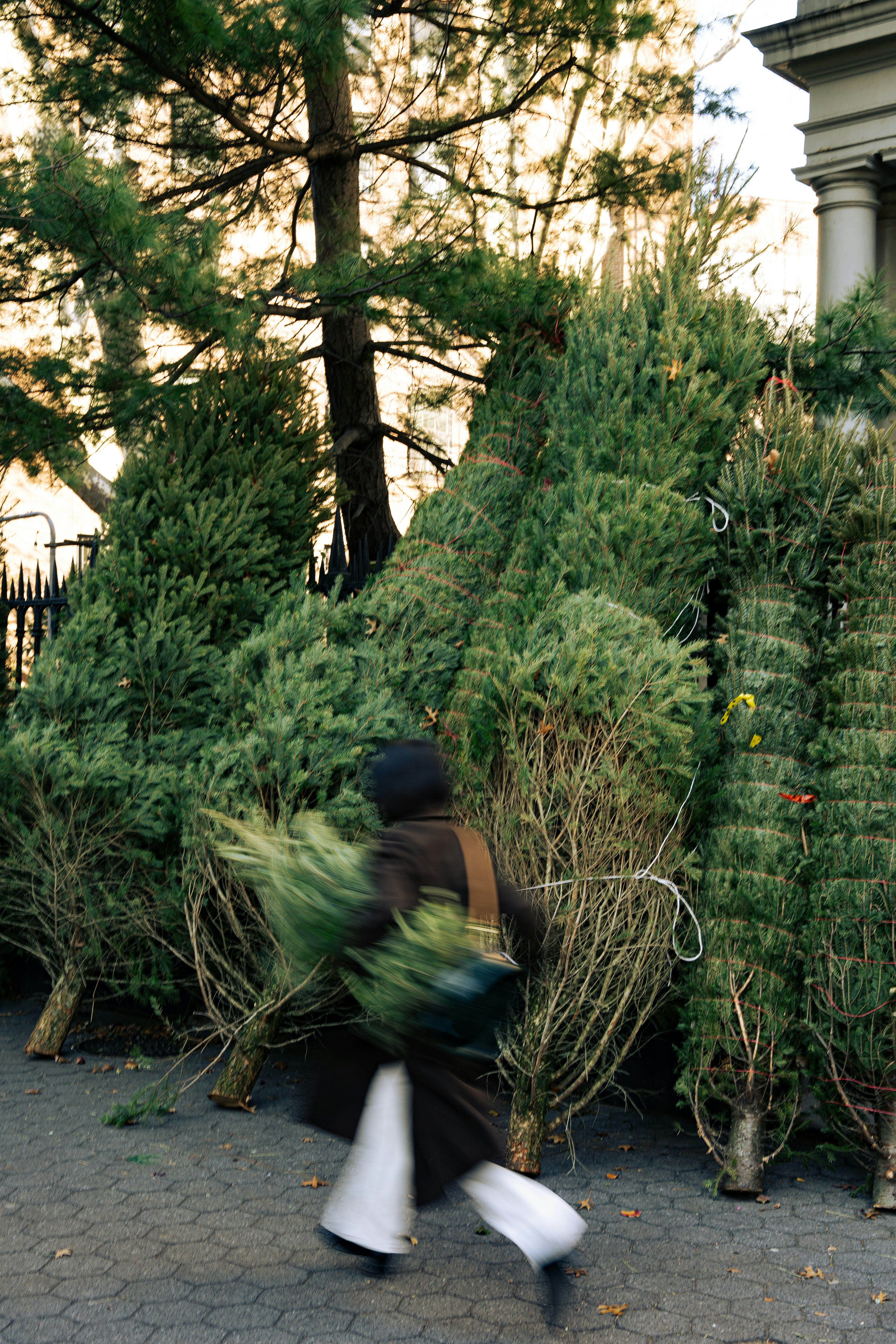 A person in a dark coat walking past stacked Christmas trees on a sidewalk