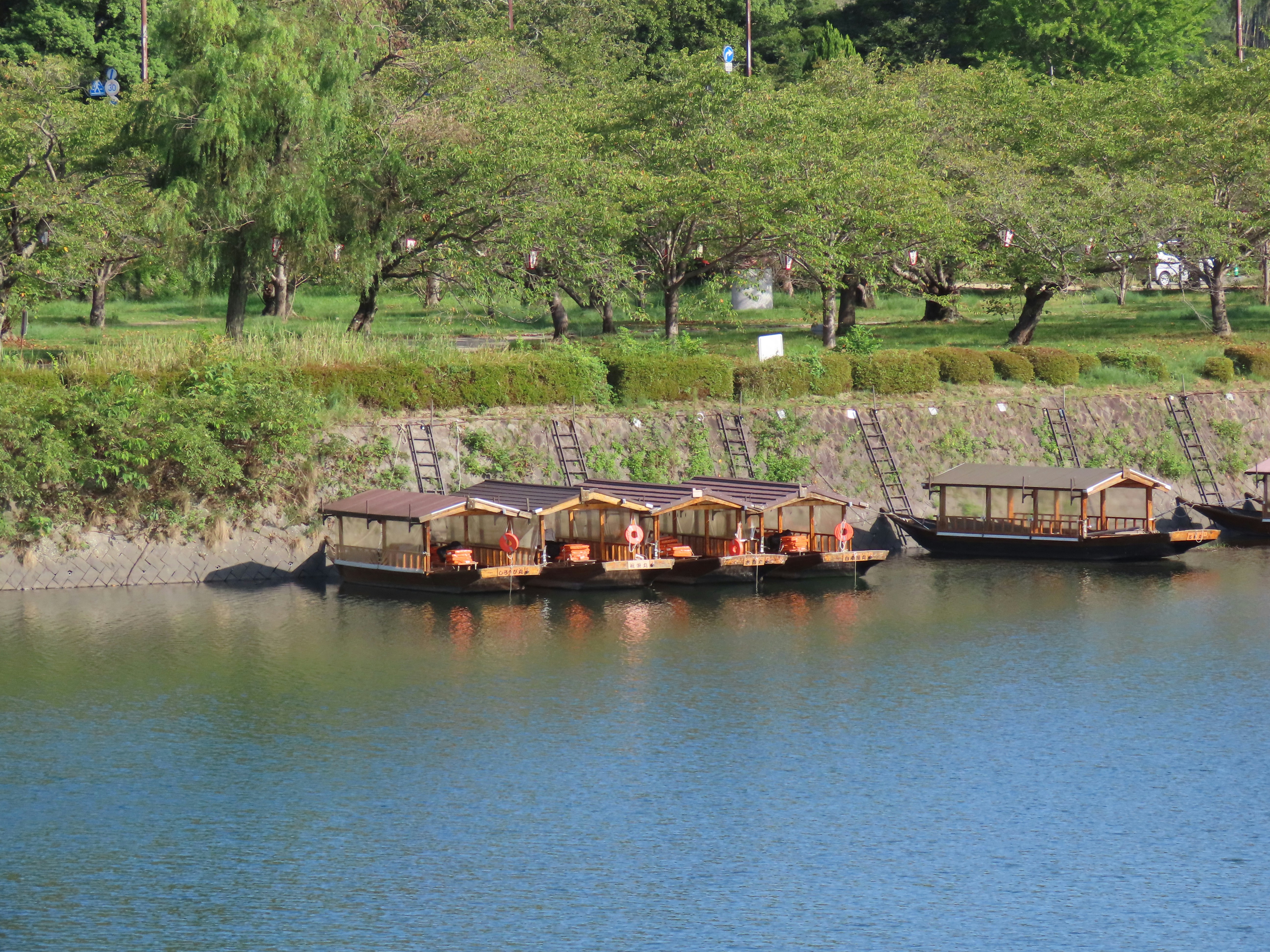 Traditional wooden boats moored along a grassy riverbank lined with green trees
