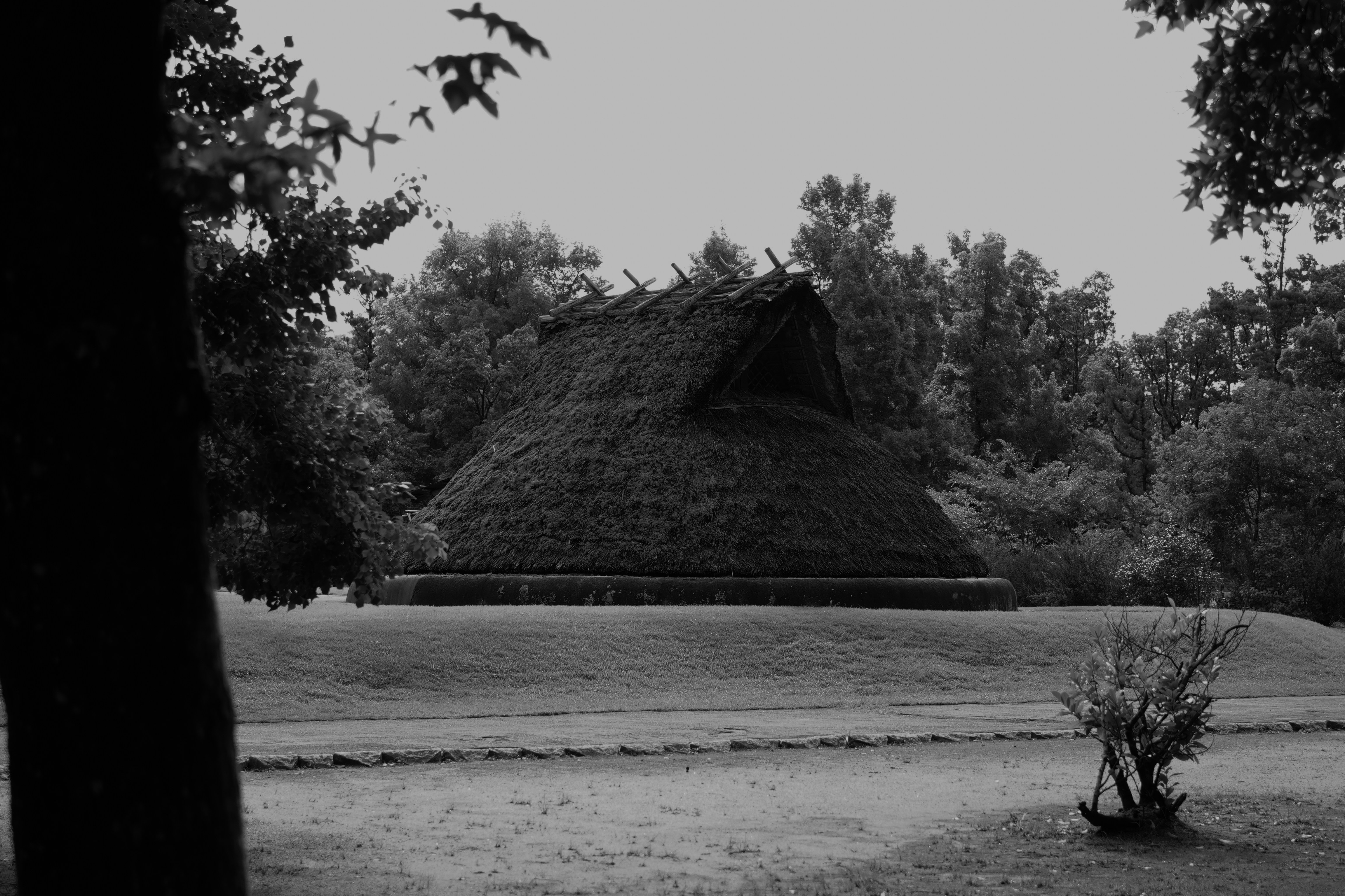 Ein traditionelles Strohdachhaus in einem von Bäumen umgebenen Park
