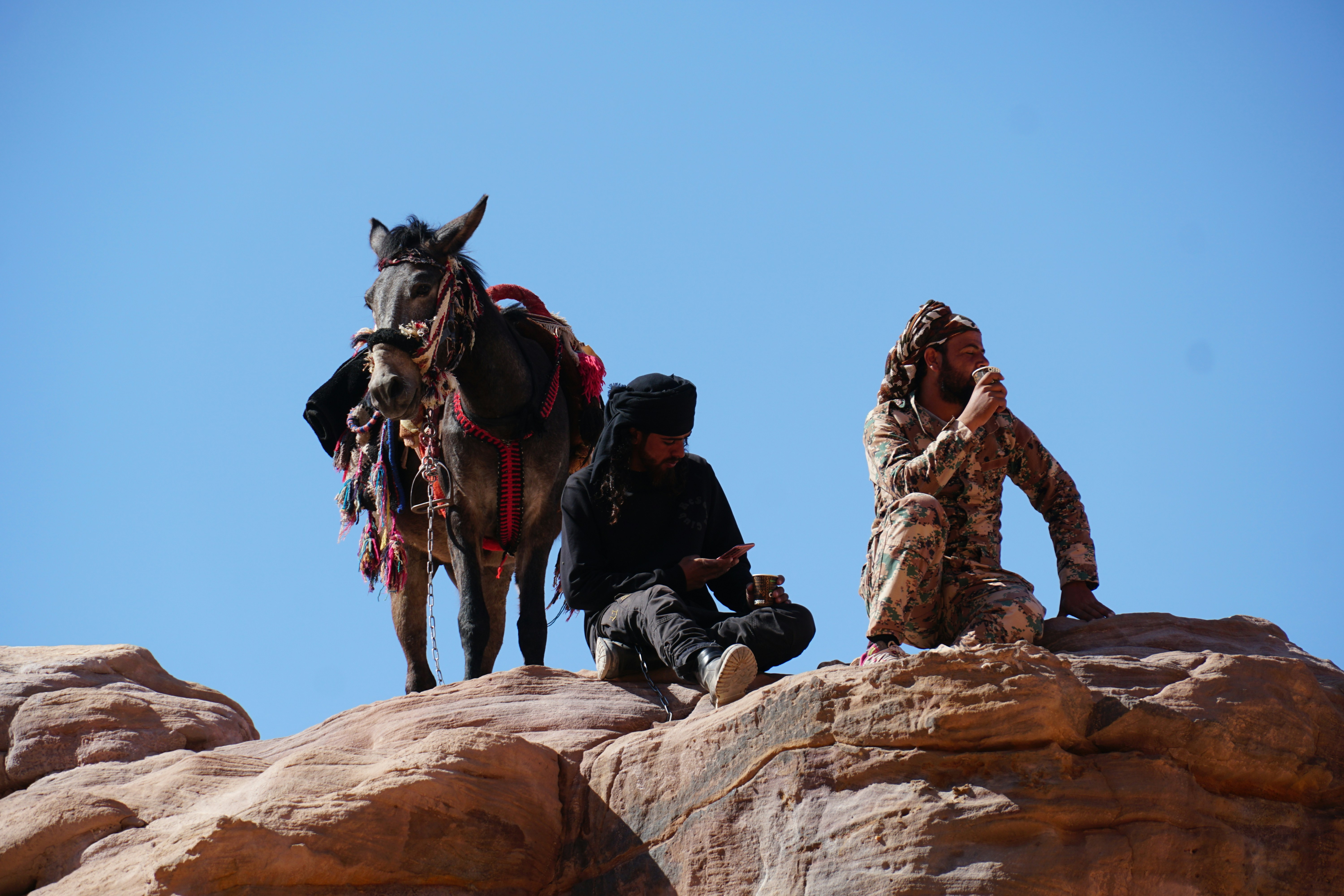 A donkey and two men on a rocky outcrop against a clear blue sky
