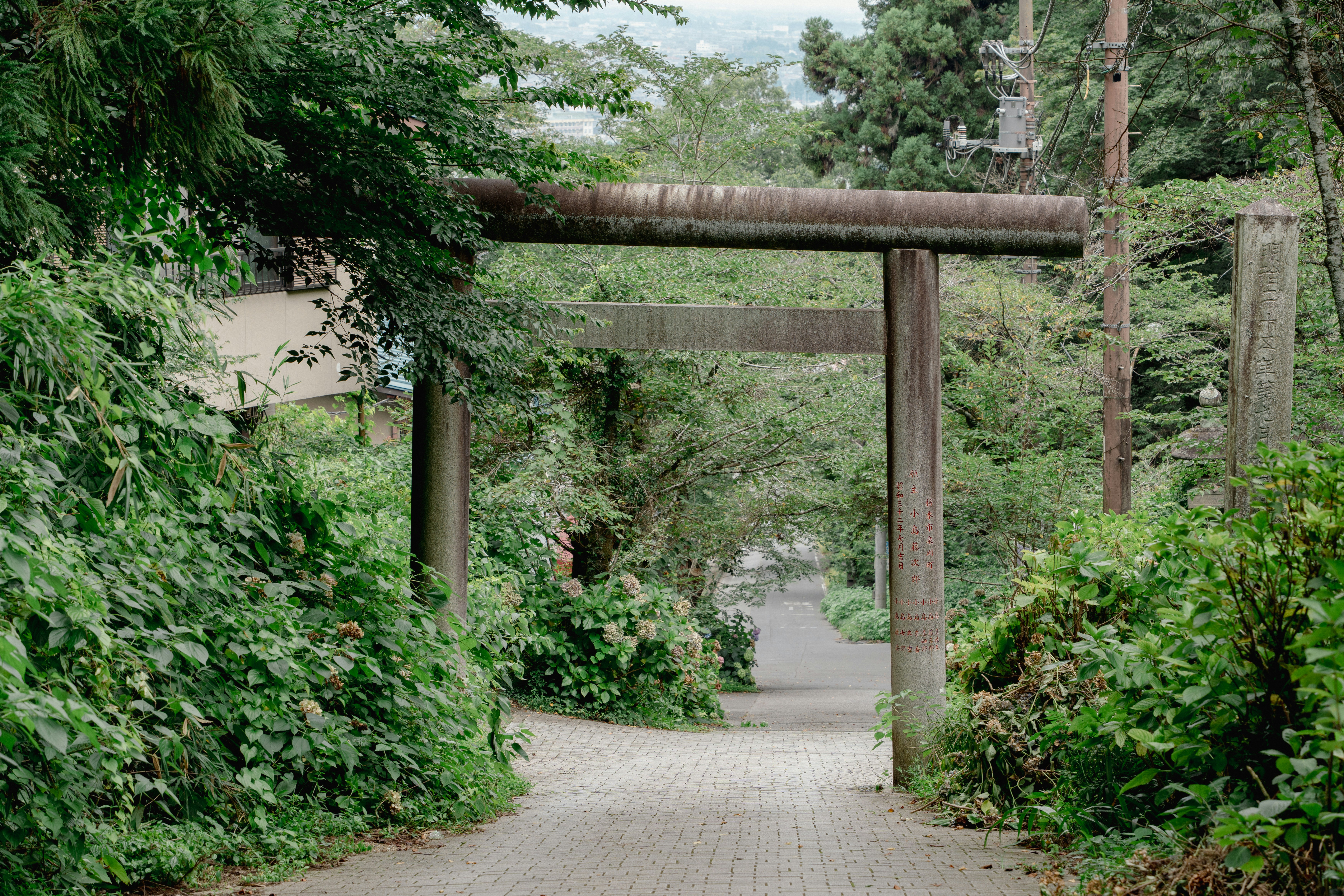 A stone torii gate over a paved path surrounded by lush green trees