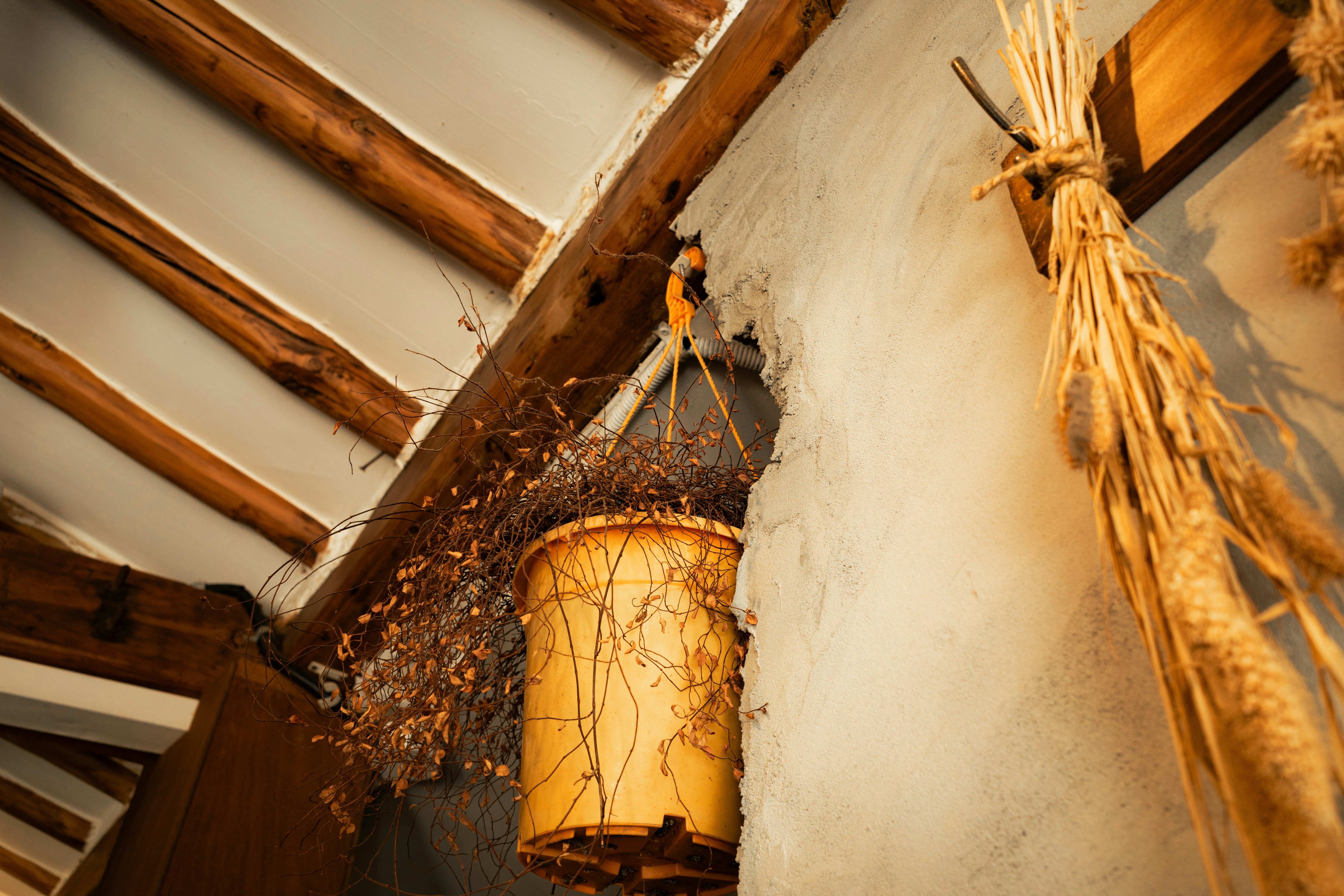 Maison Paul & Gabrielle — Chablis, Yonne