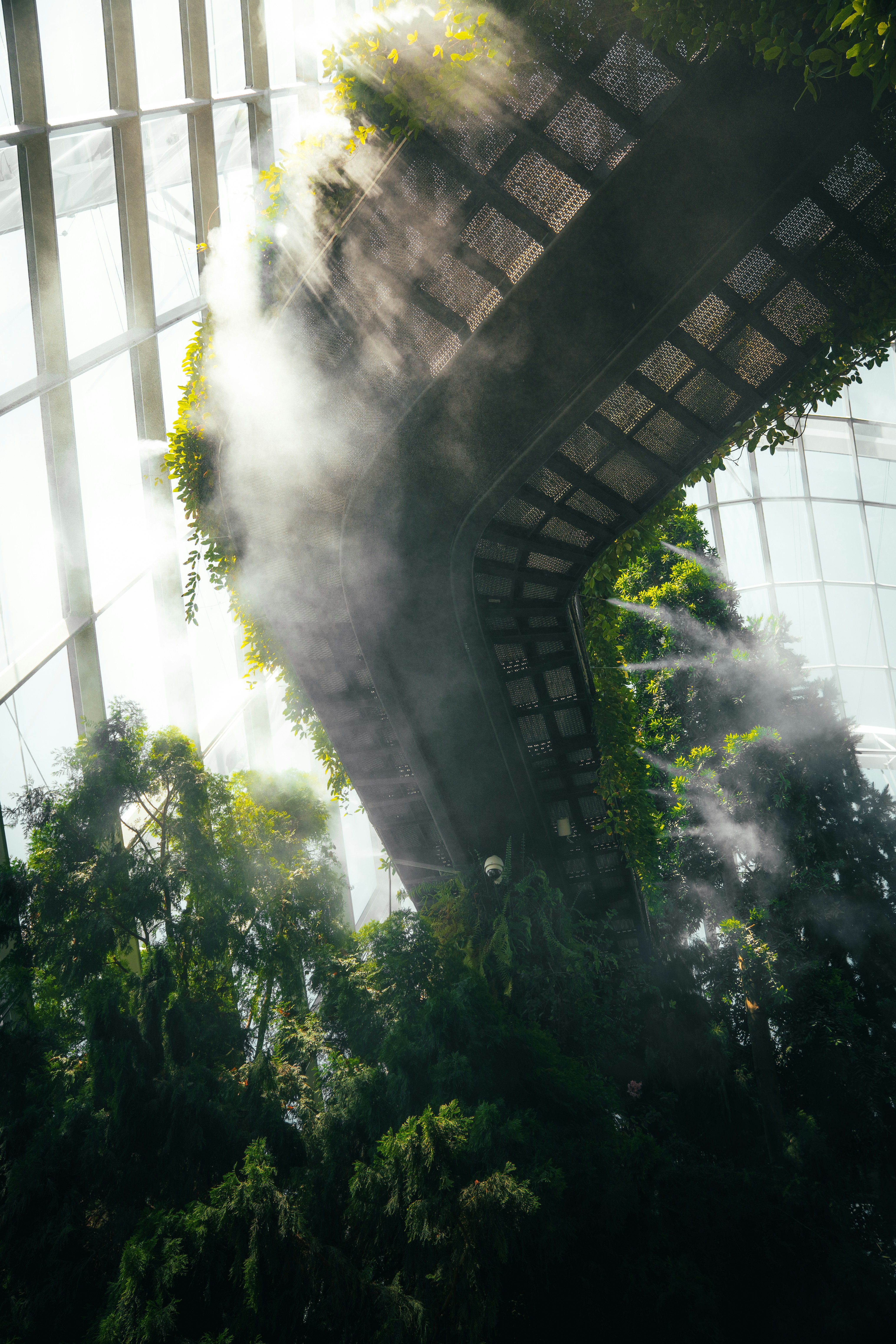 A metal walkway winding through lush greenery in the Cloud Forest conservatory in Singapore