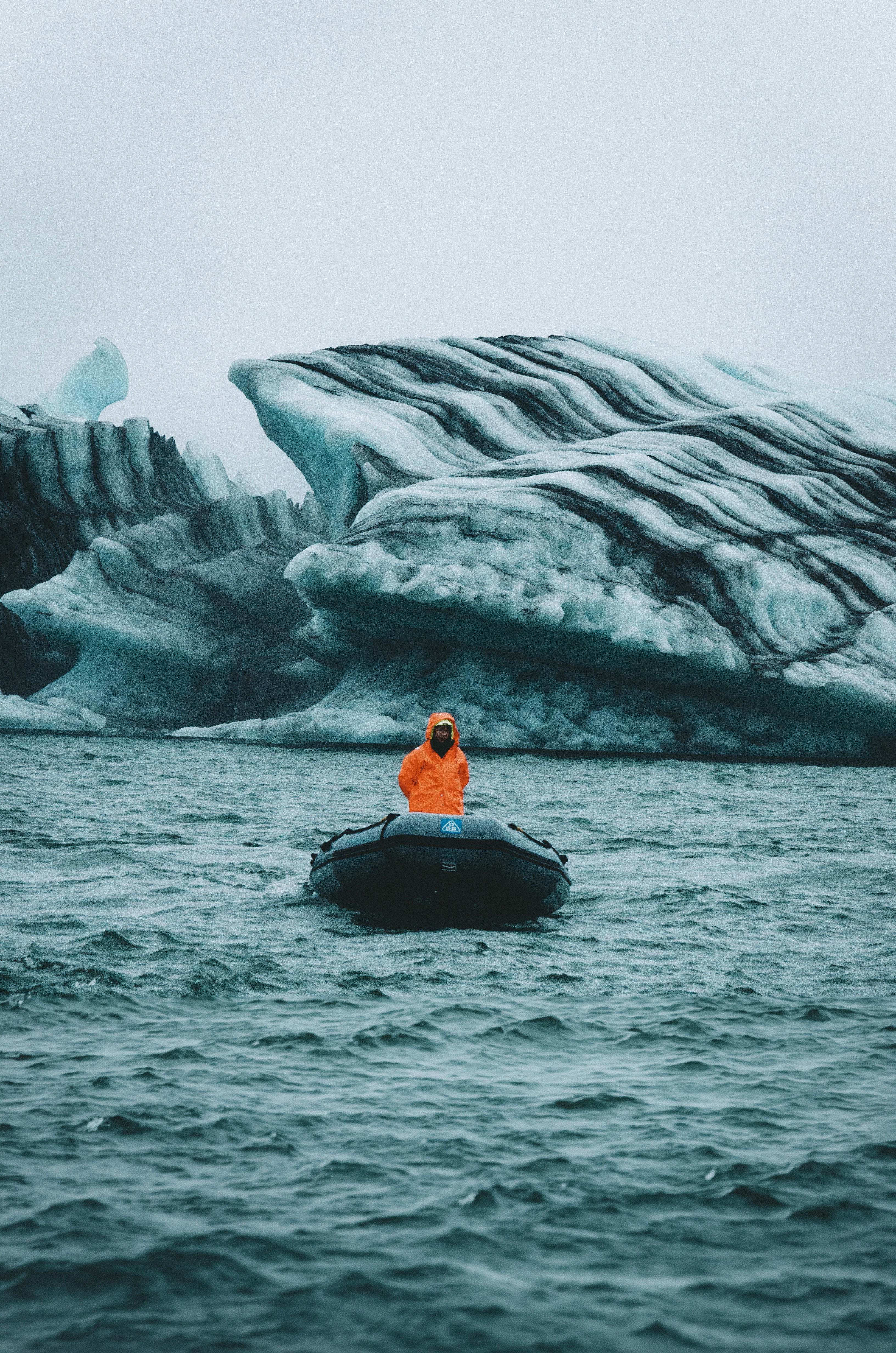 Wildlife Encounters: Seals, Birds, and the Living Lagoon