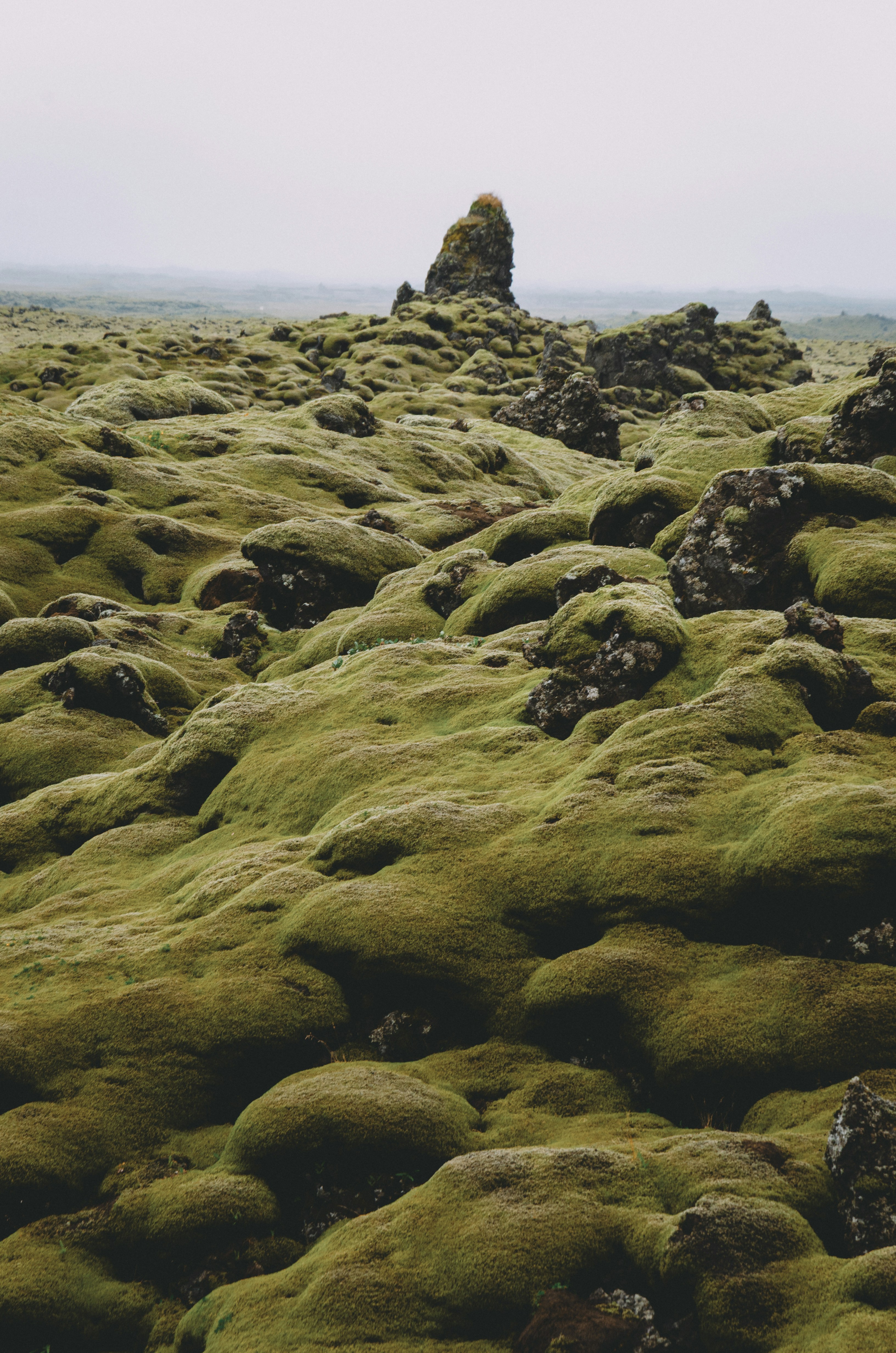 Lava rocks covered in thick green moss under a grey overcast sky