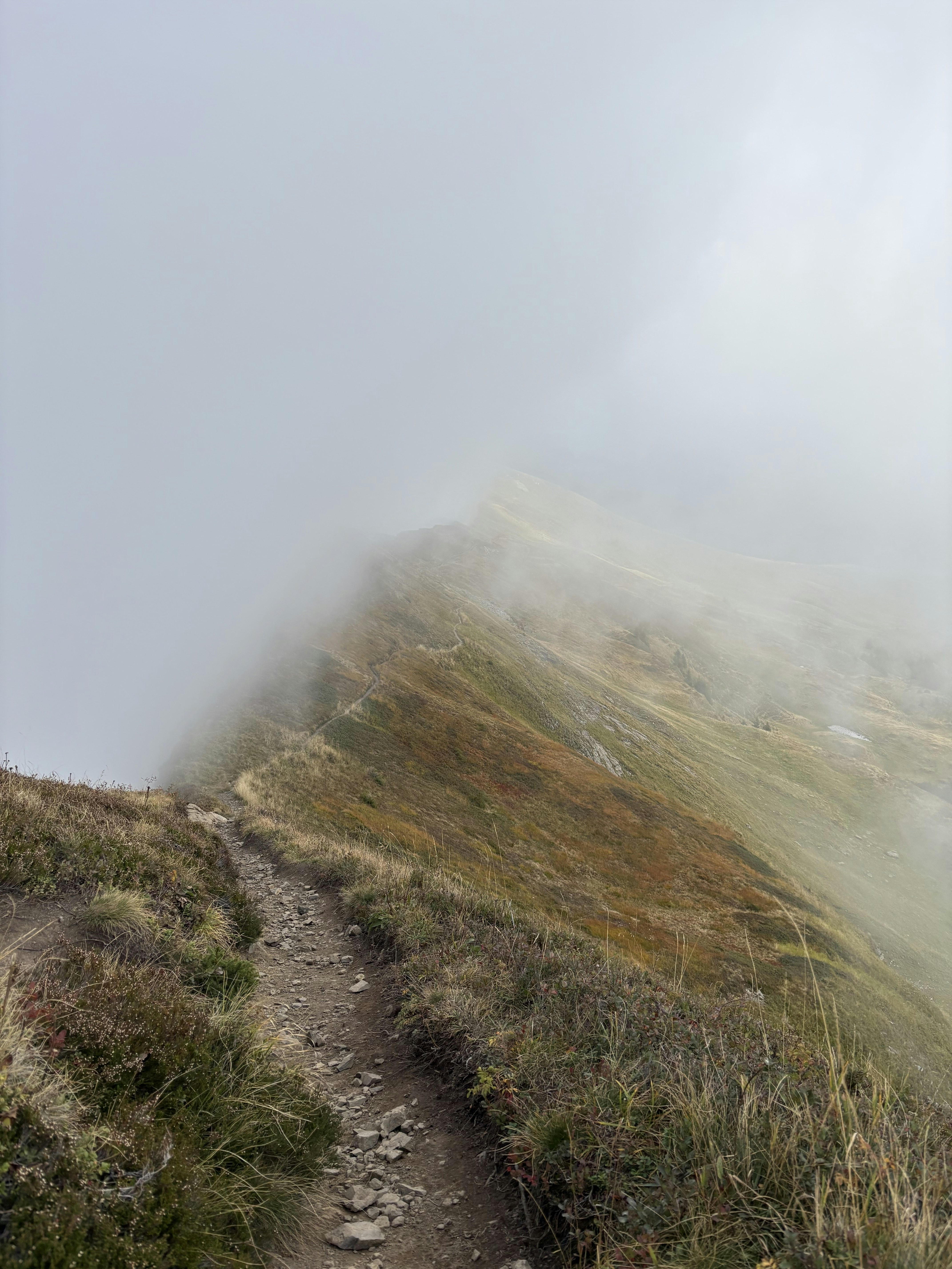 Crêtes du Sancy (GR30) — Mont-Dore / Besse