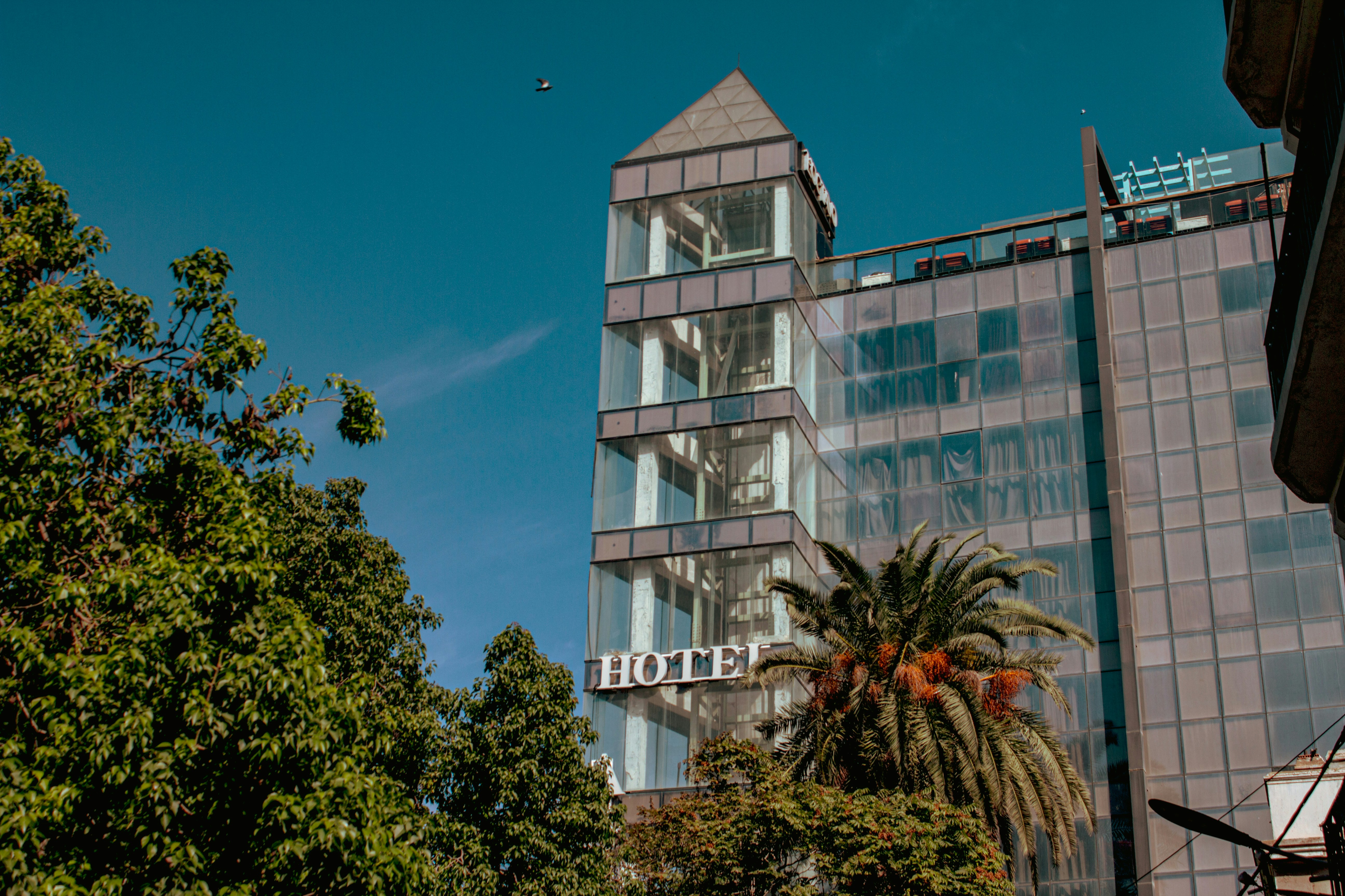 A modern glass hotel building with a palm tree against a clear blue sky
