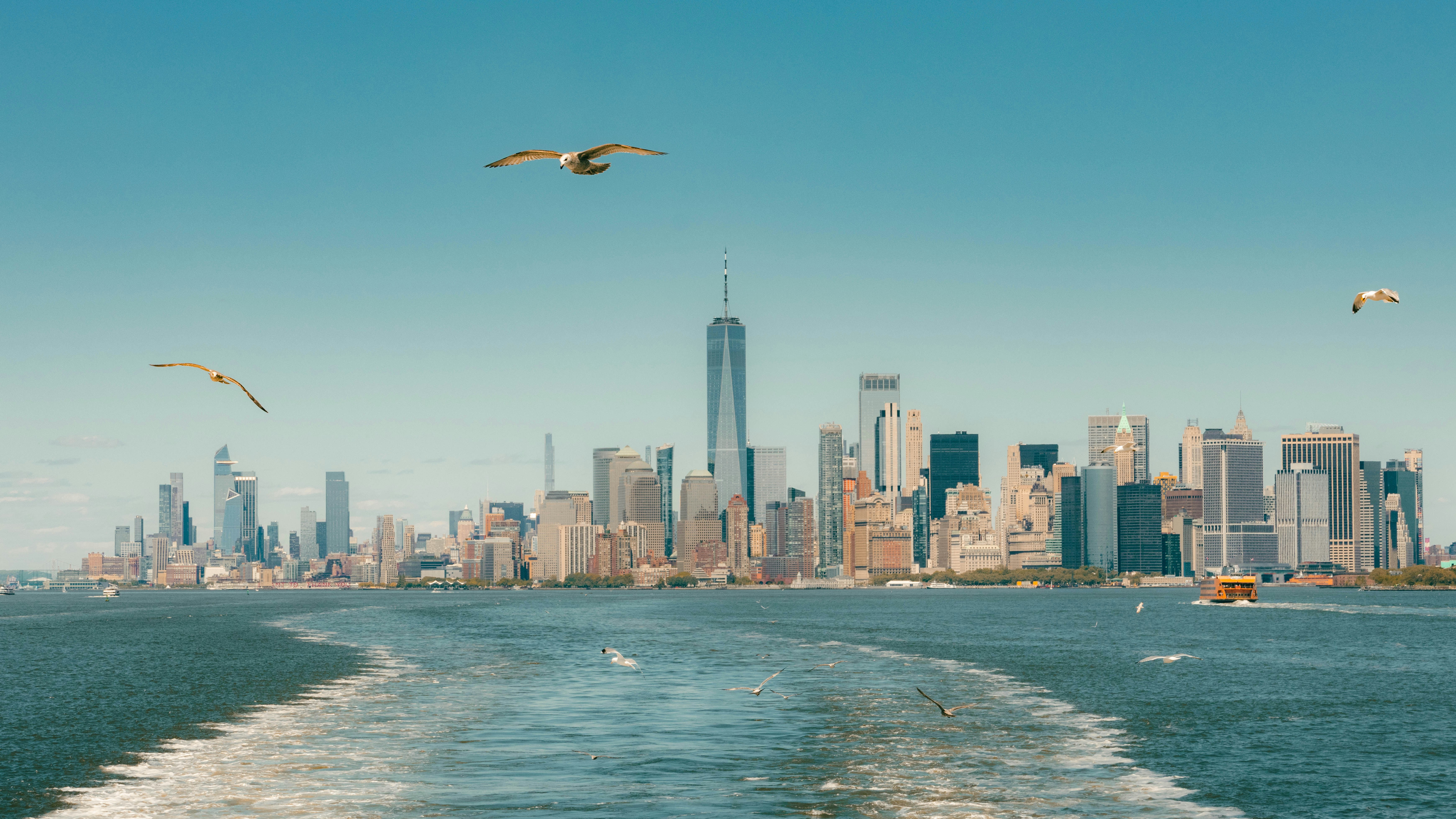 Gabbiani che volano sopra lo skyline di New York City attraverso il fiume Hudson