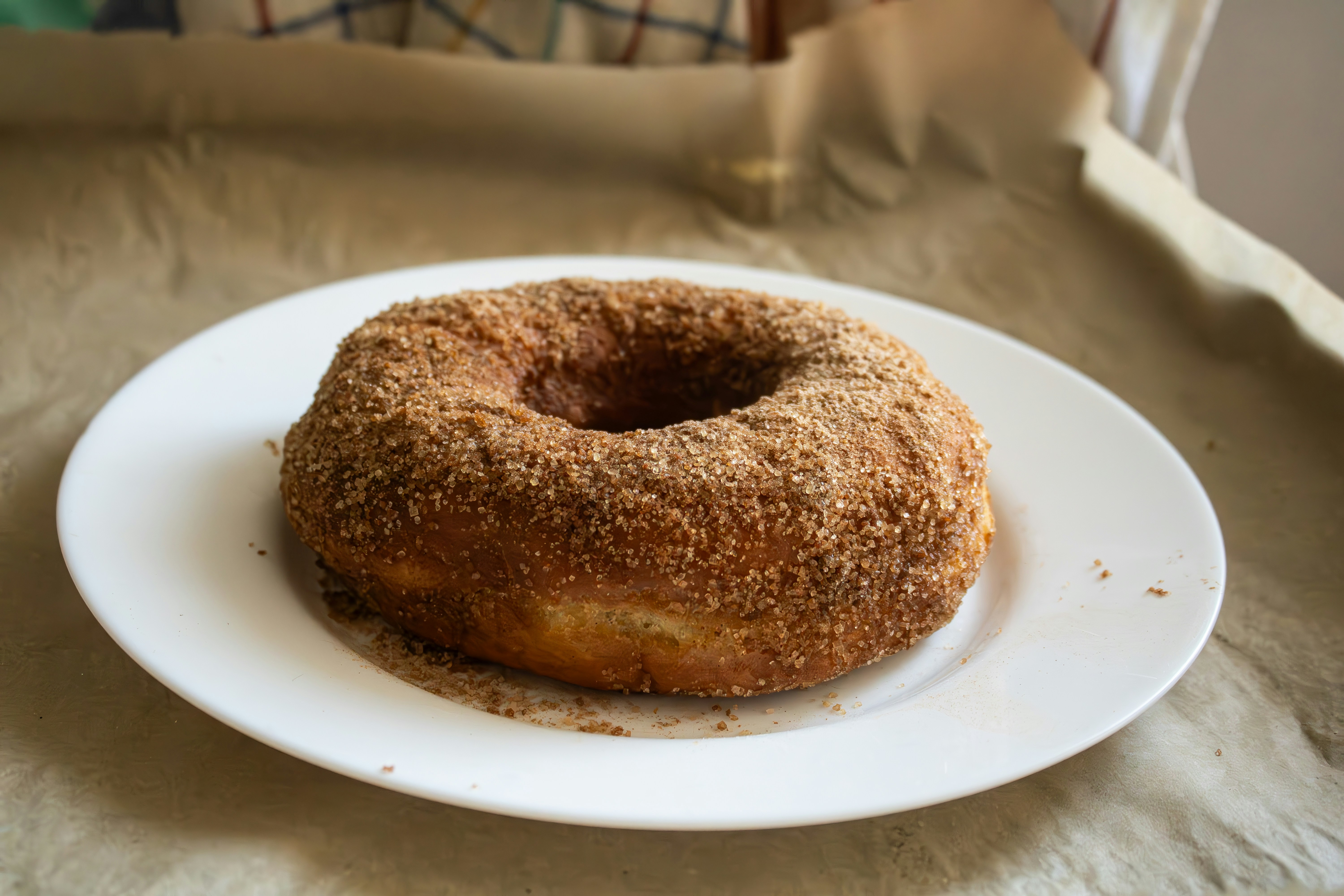 Apple cider Doughnuts Won Me Over