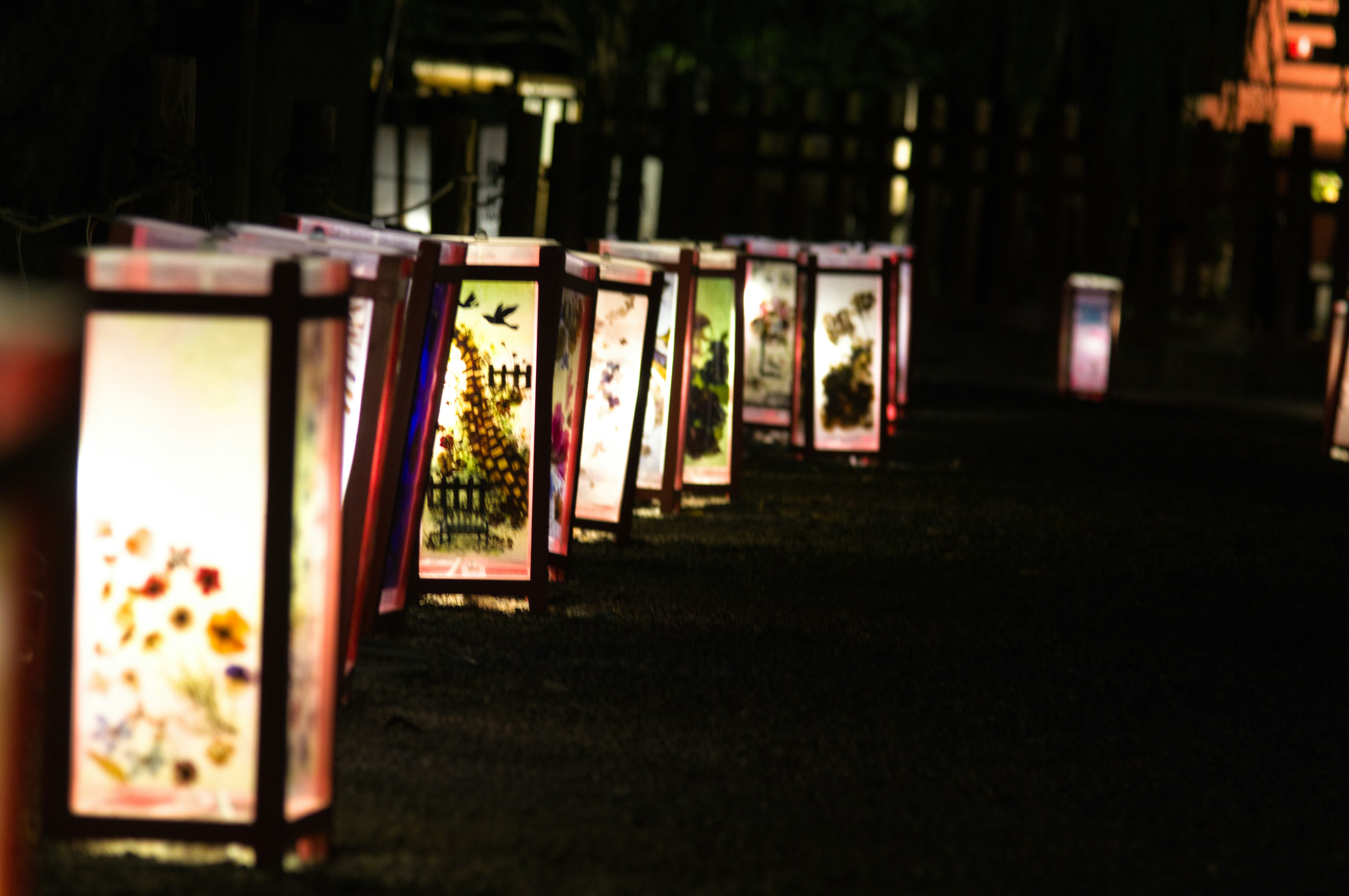 A row of illuminated paper lanterns decorated with pressed flowers along a dark path