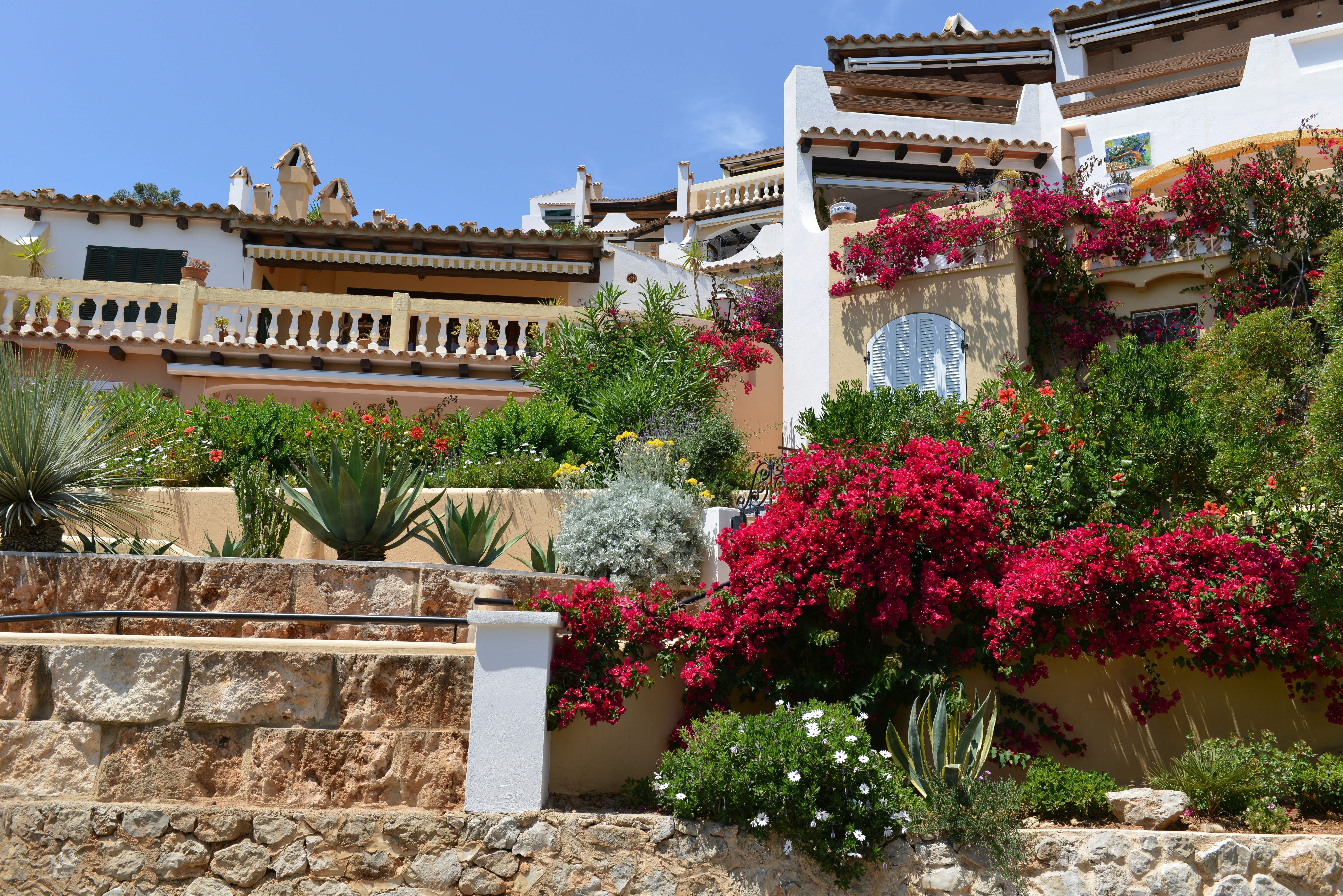 White Mediterranean villas with balconies above stone walls and vibrant pink bougainvillea flowers