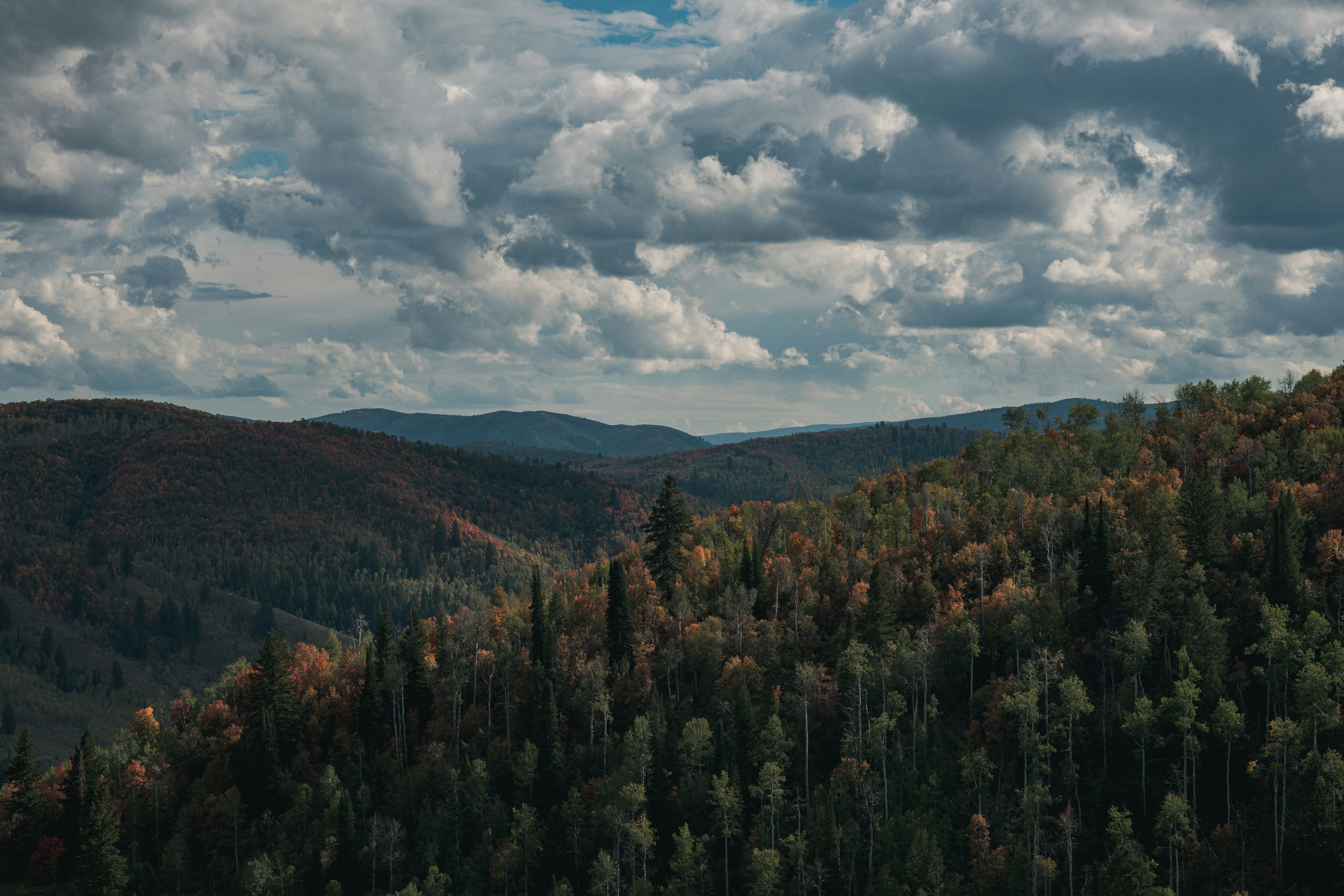 Rolling hills covered in autumn forest under a sky filled with heavy clouds