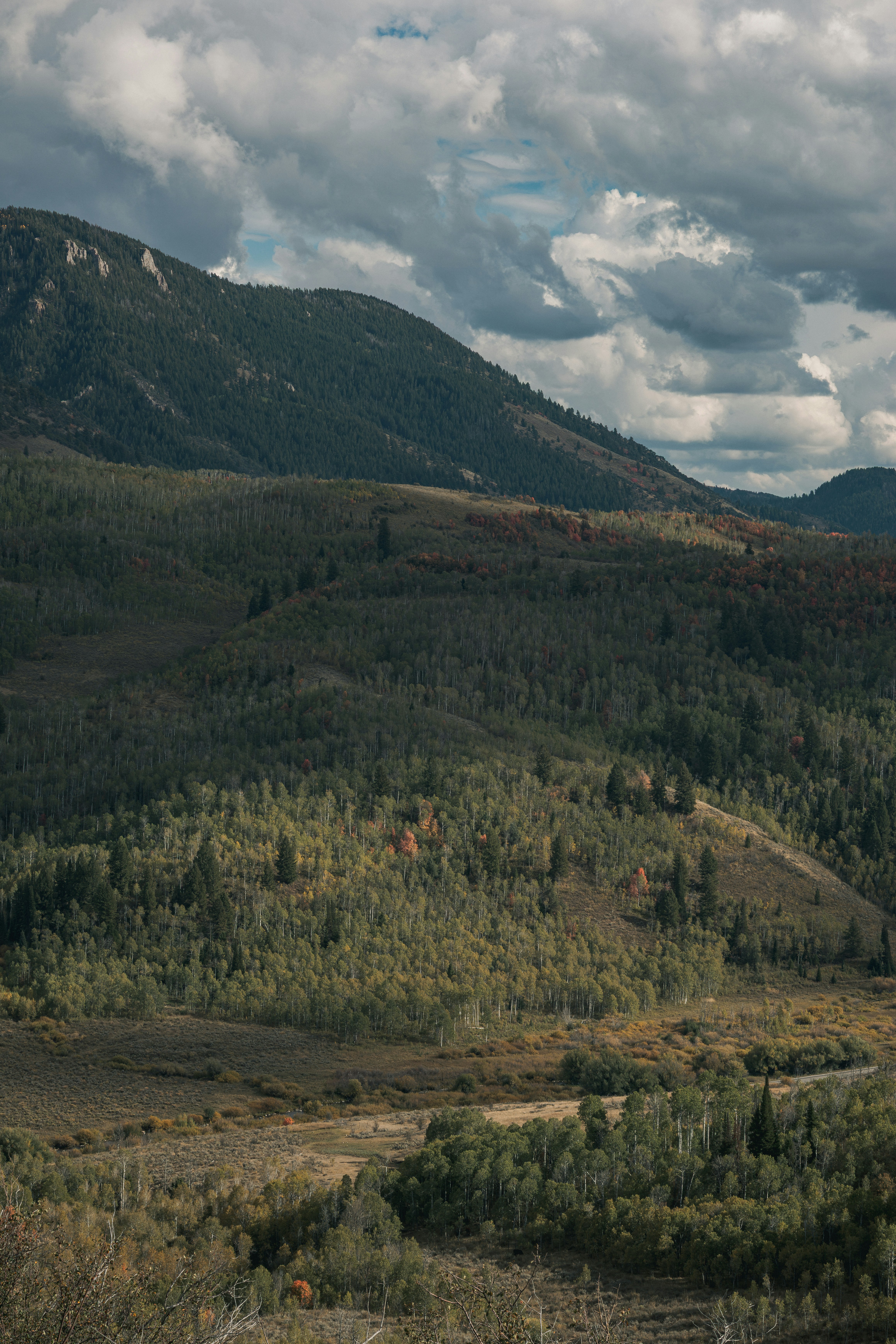 A forested mountain slope with autumn foliage under a cloudy sky