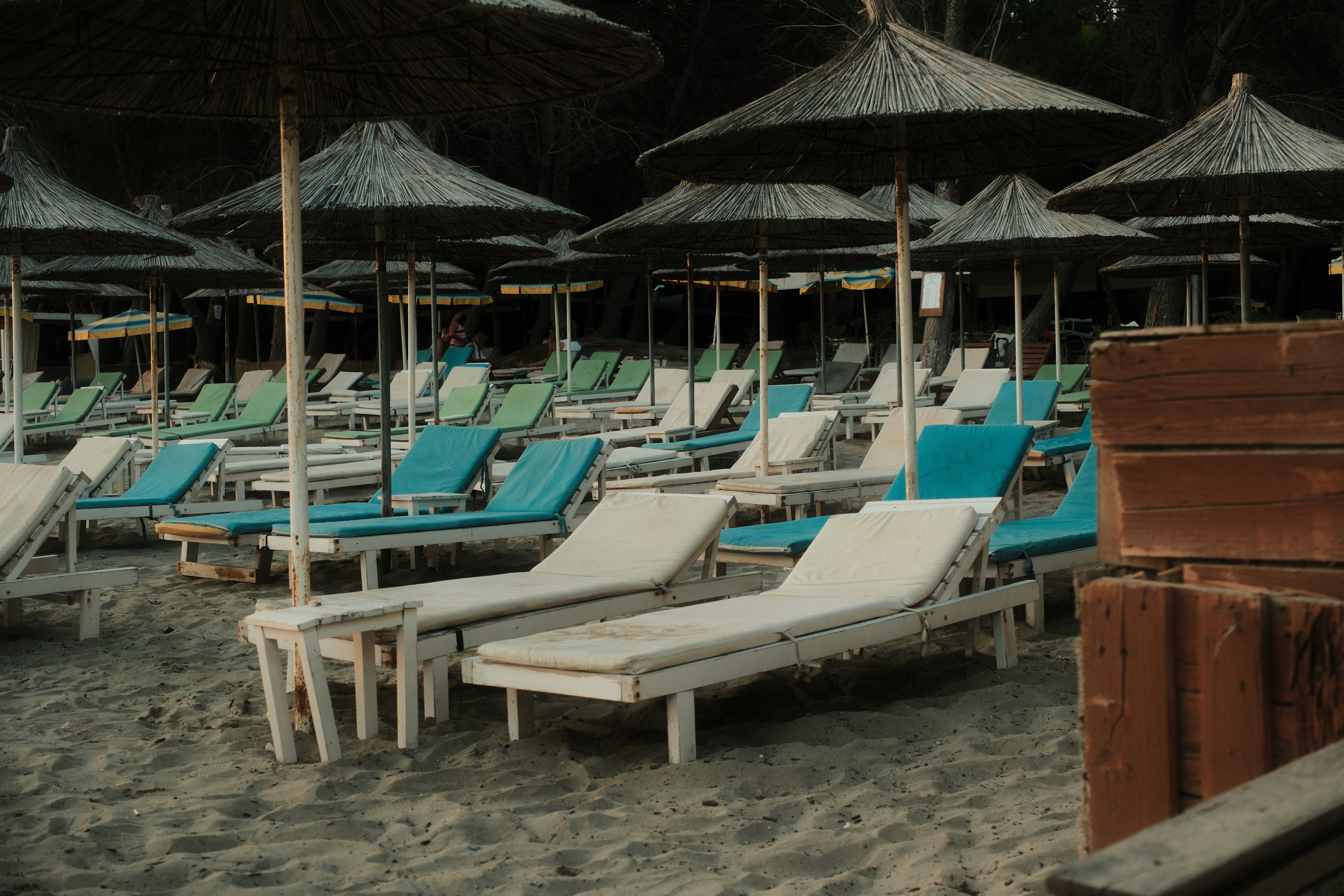 Rows of white wooden lounge chairs with blue cushions under straw umbrellas on sand
